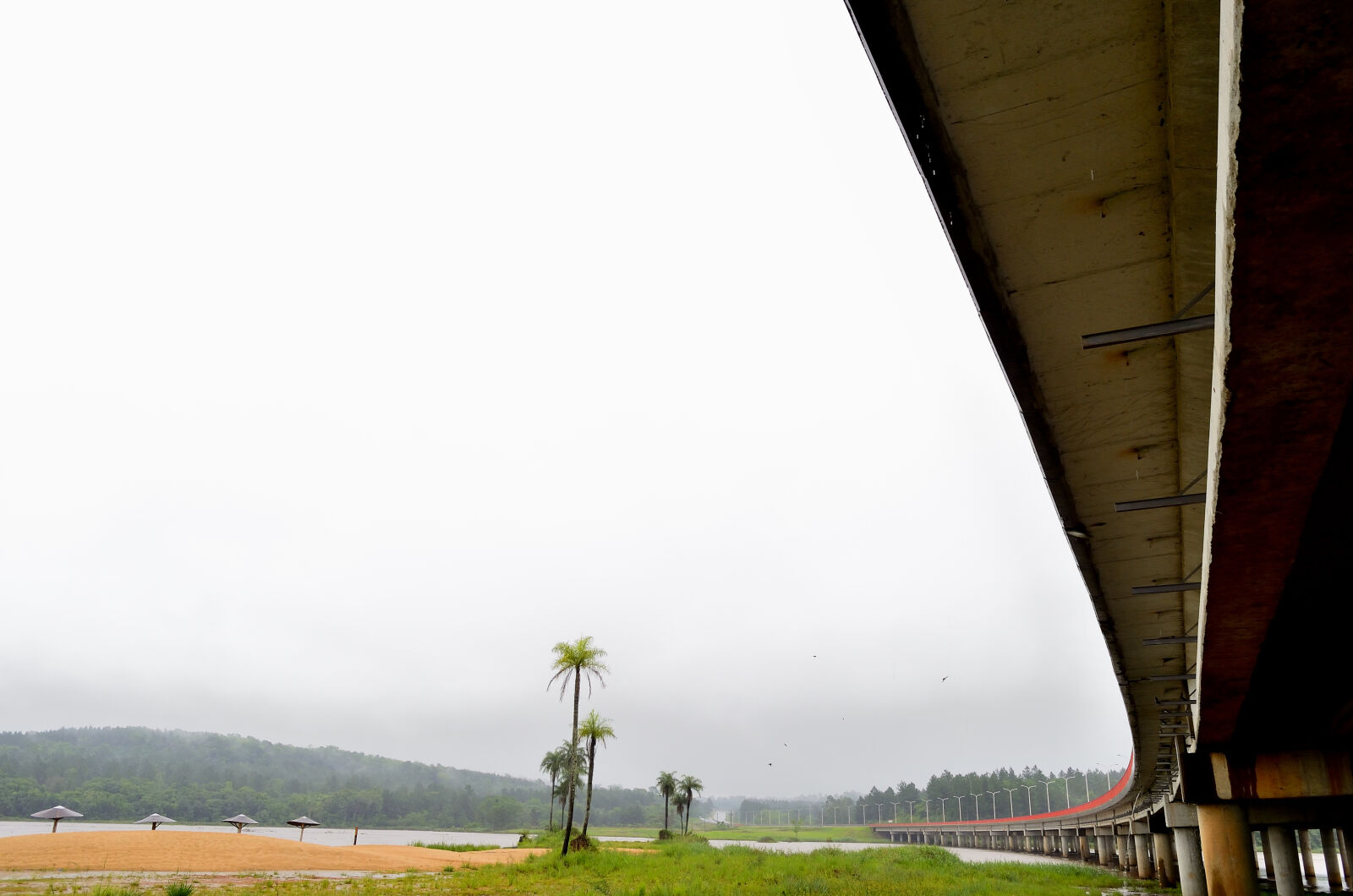 Nikon D5100 sample photo
