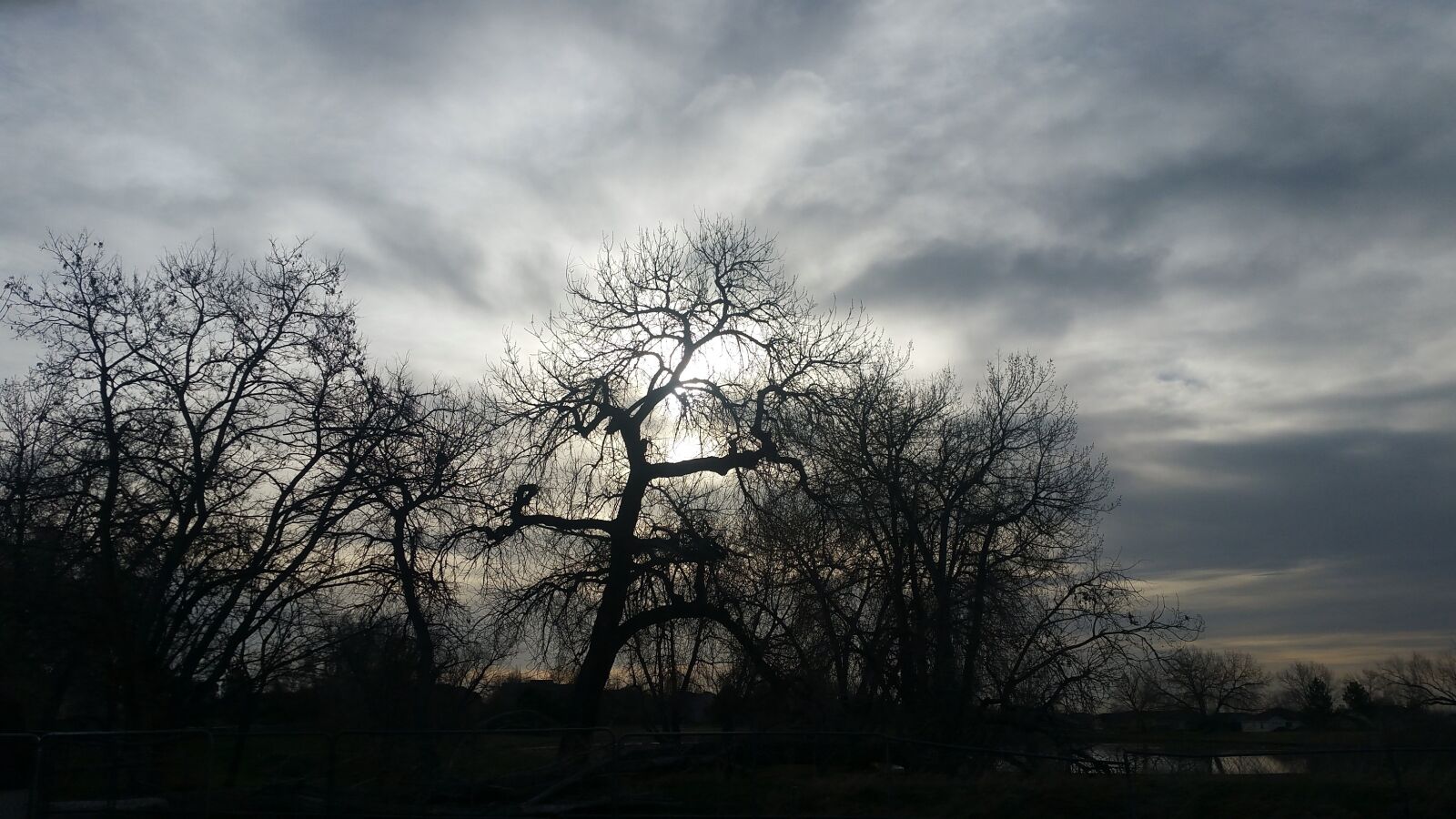 Samsung Galaxy Note4 sample photo. Tree, nature, landscape photography