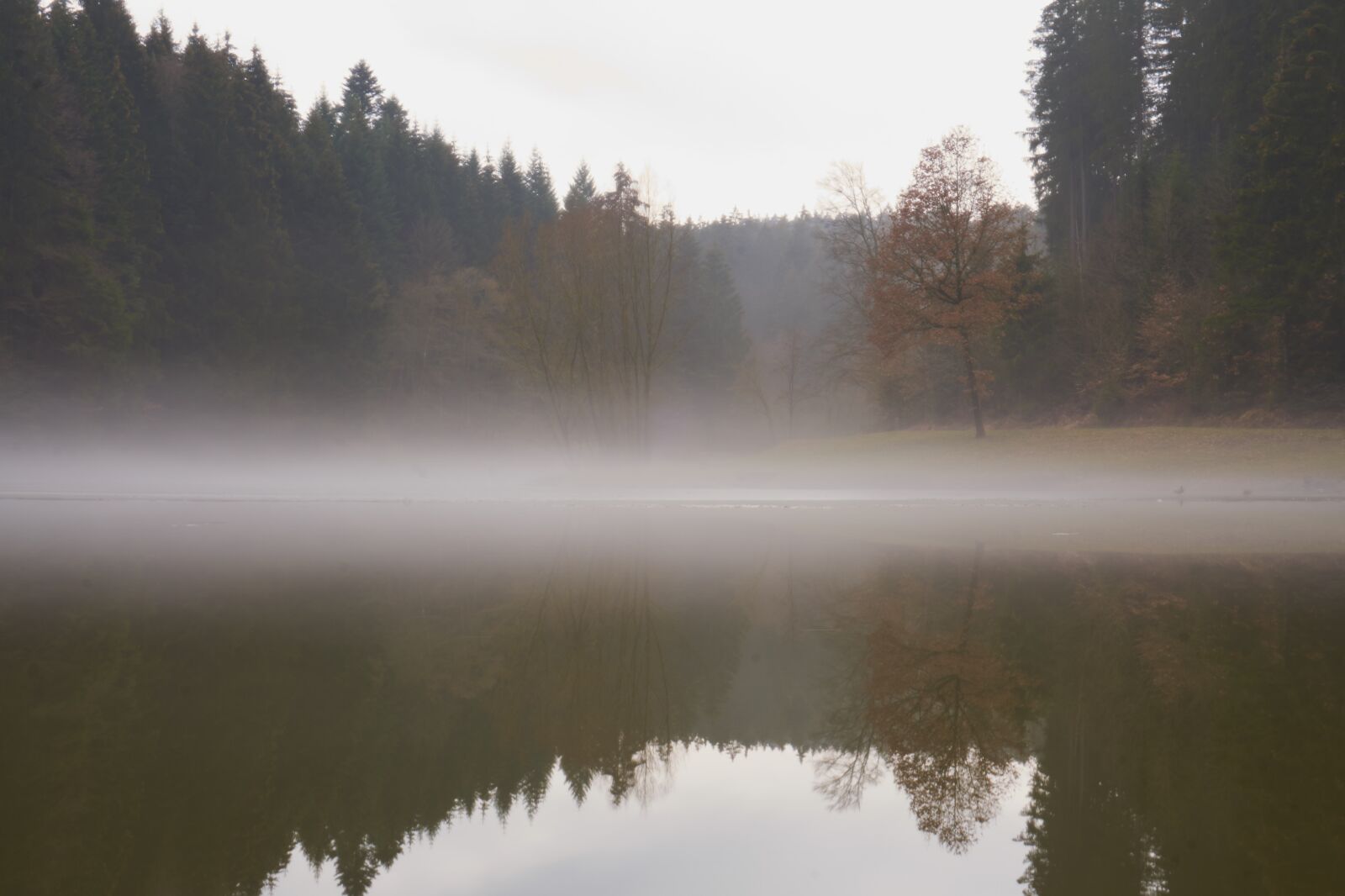 Sony a6000 + Sony E PZ 16-50 mm F3.5-5.6 OSS (SELP1650) sample photo. Lake, fog, forest photography