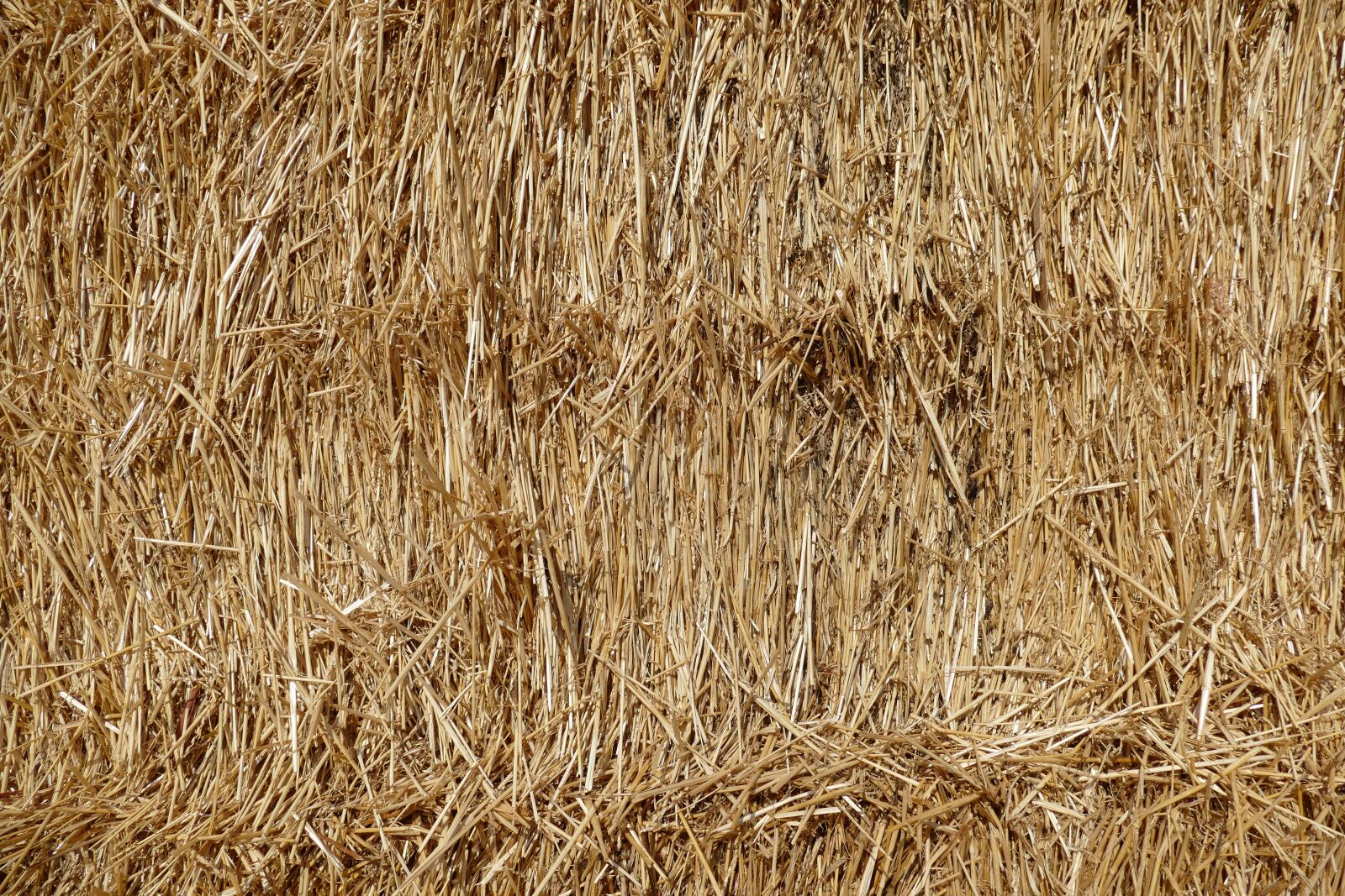 Panasonic Lumix DMC-FZ1000 sample photo. Straw, hay, harvest photography