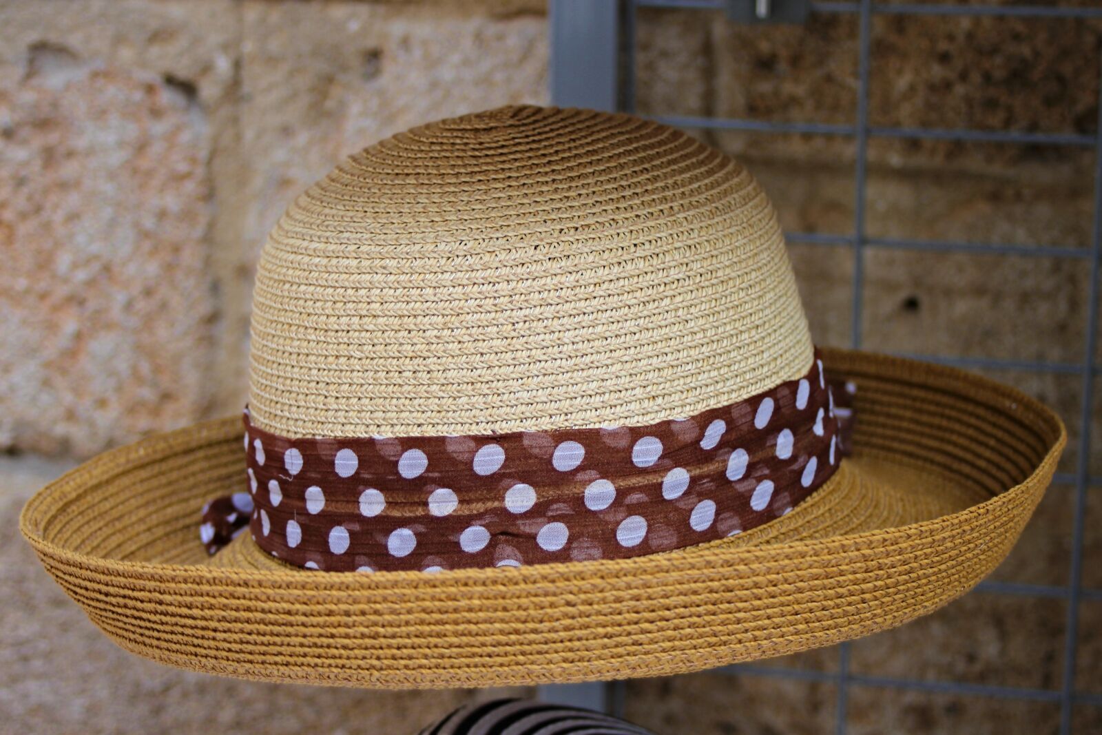 Canon EOS 1100D (EOS Rebel T3 / EOS Kiss X50) + Canon EF 28-80mm f/3.5-5.6 sample photo. Straw hat, coneflower, hat photography