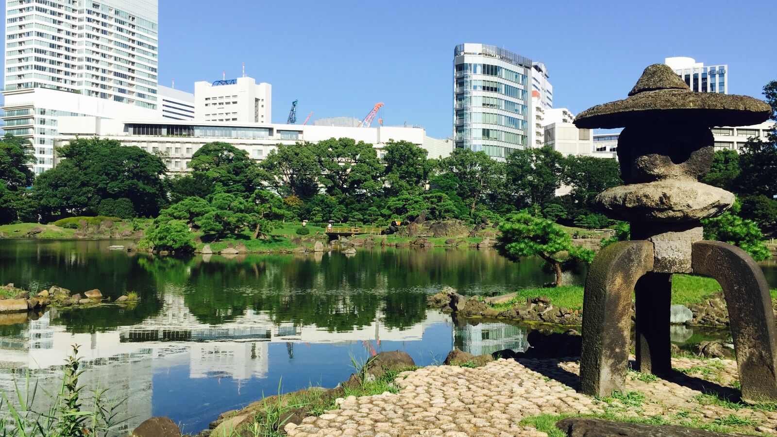 iPhone 6 Plus back camera 4.15mm f/2.2 sample photo. Japanese, tokyo, garden photography