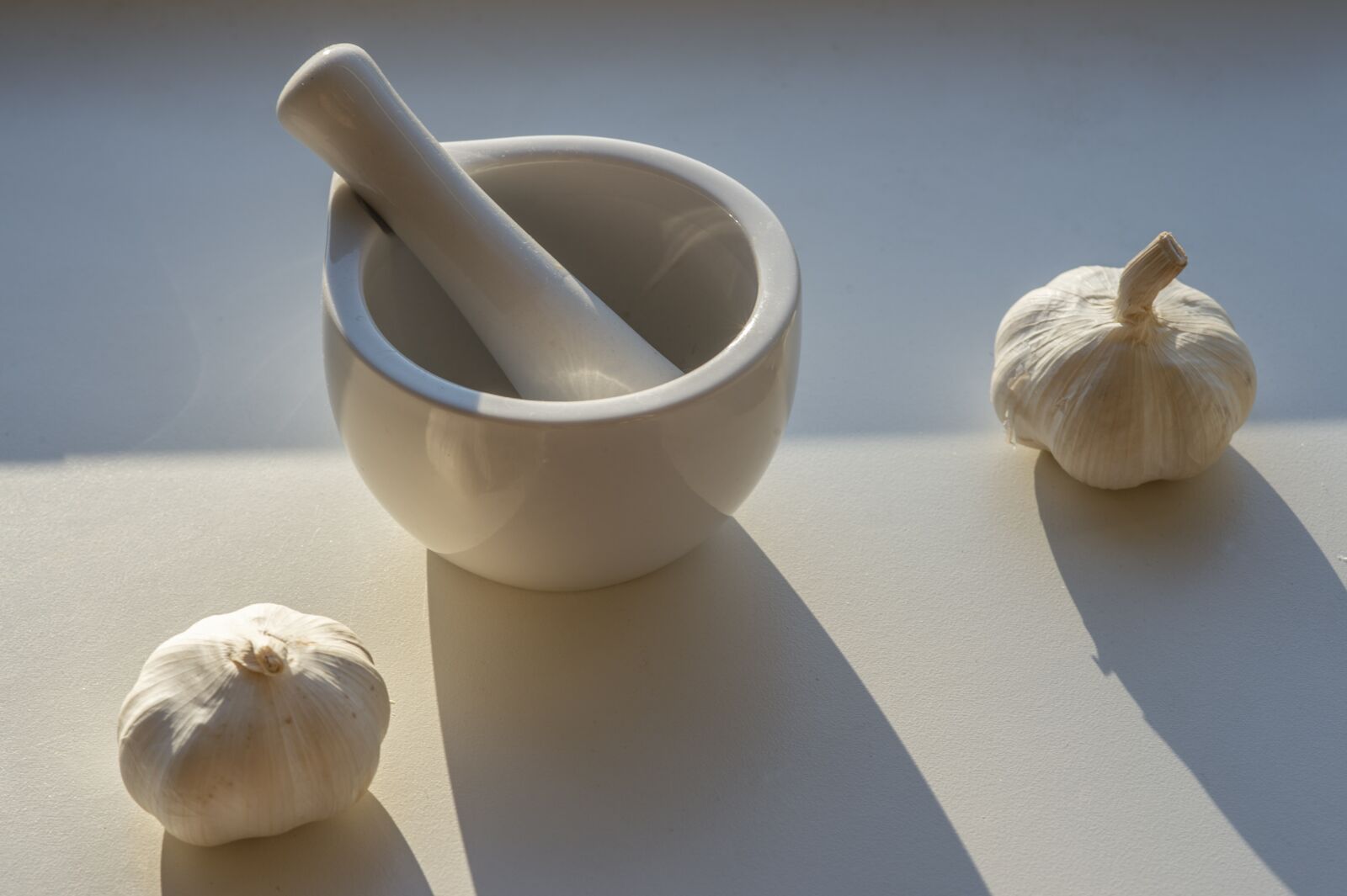 Nikon Df sample photo. Still life, garlic, mortar photography