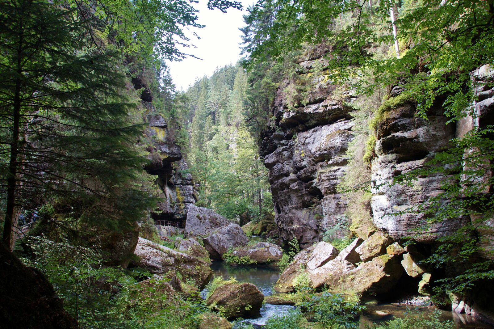 Sony SLT-A58 sample photo. H ensko, czech switzerland photography