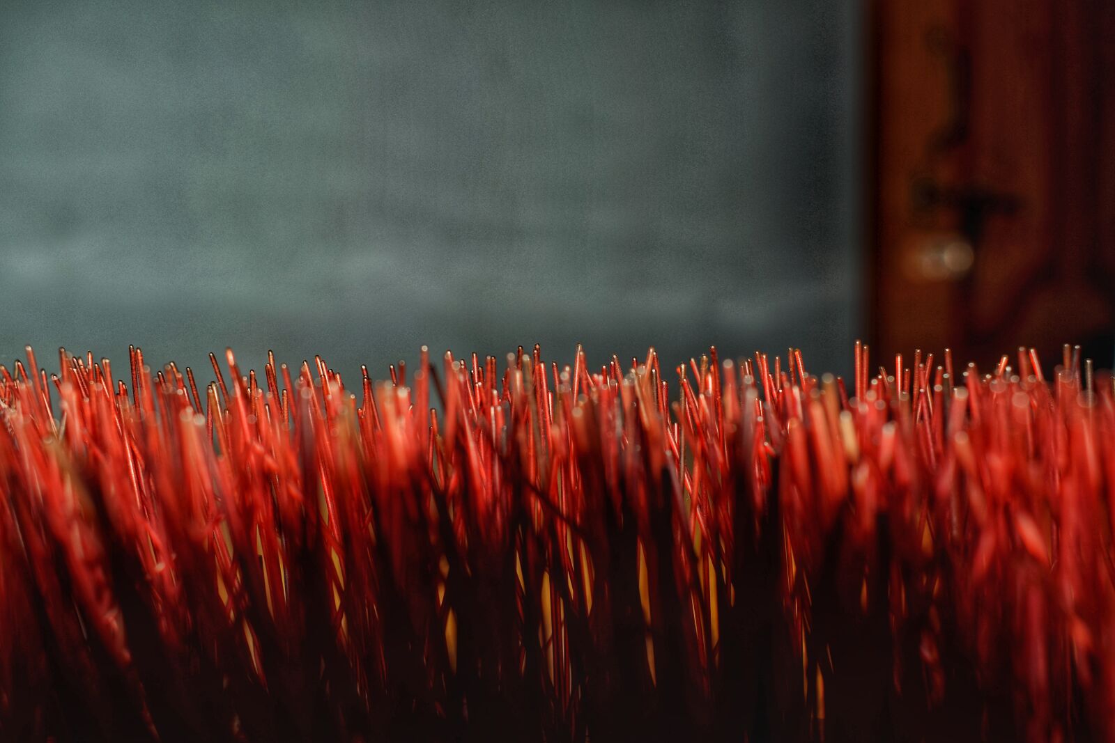 Nikon D5300 sample photo. Blur, bright, brush, close photography