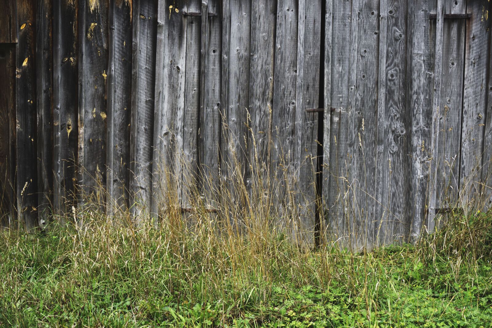 Sony a6000 sample photo. Barn doors, barn, door photography