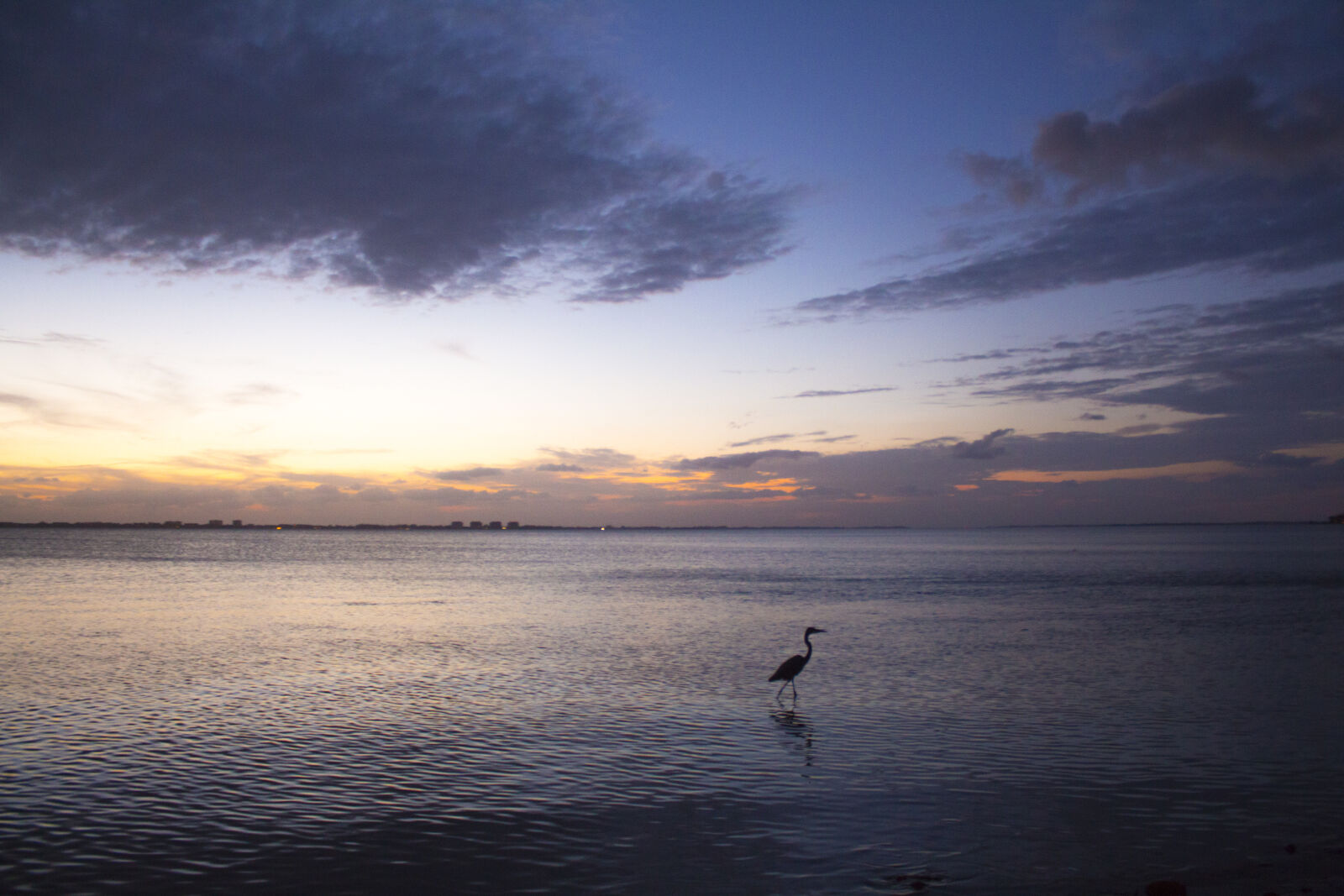 Canon EOS 700D (EOS Rebel T5i / EOS Kiss X7i) + Canon EF-S 18-55mm F3.5-5.6 IS II sample photo. Florida, sunset, bird, landscape photography