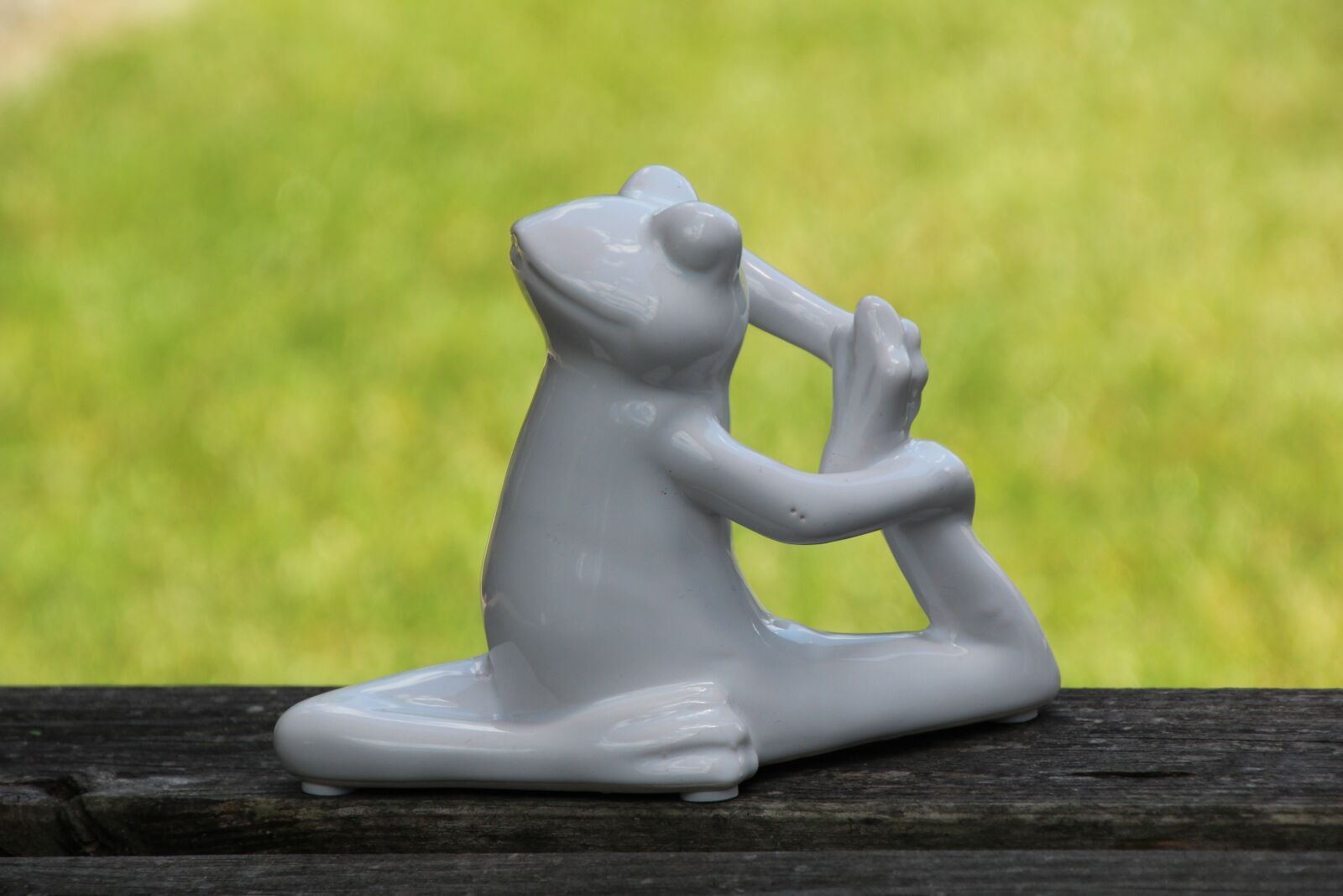 Canon EOS 1200D (EOS Rebel T5 / EOS Kiss X70 / EOS Hi) sample photo. Yoga, frog, gymnastics photography