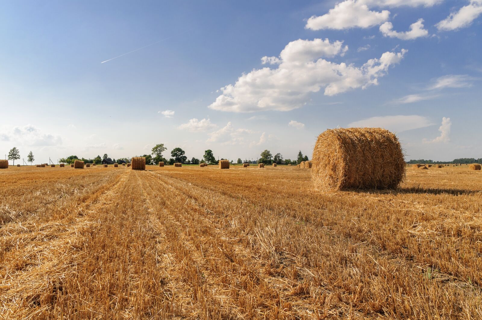 Nikon D5000 sample photo. Landscape, sky, field photography