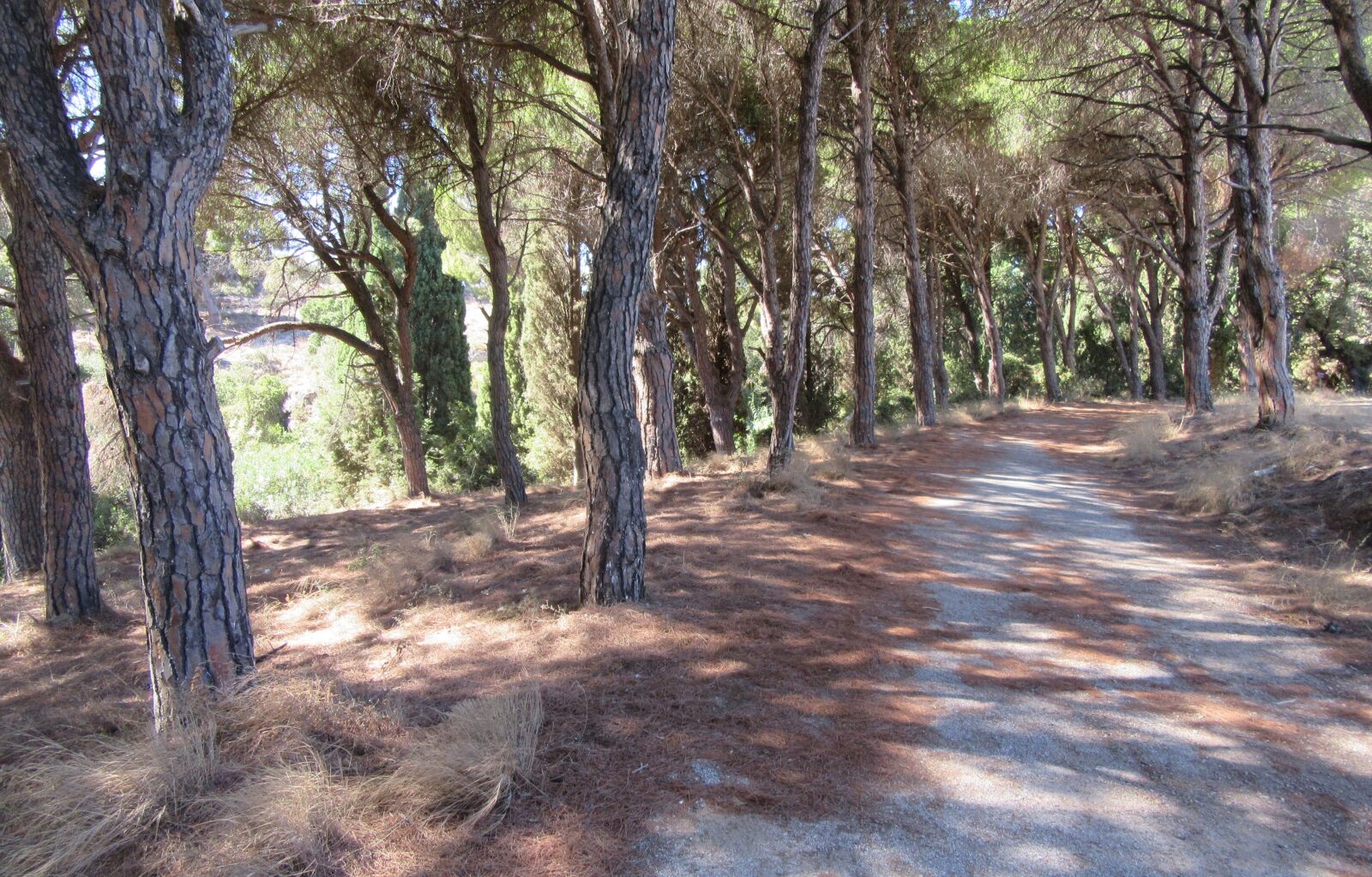 Canon PowerShot SX610 HS sample photo. Rhodes, rodini, greece photography