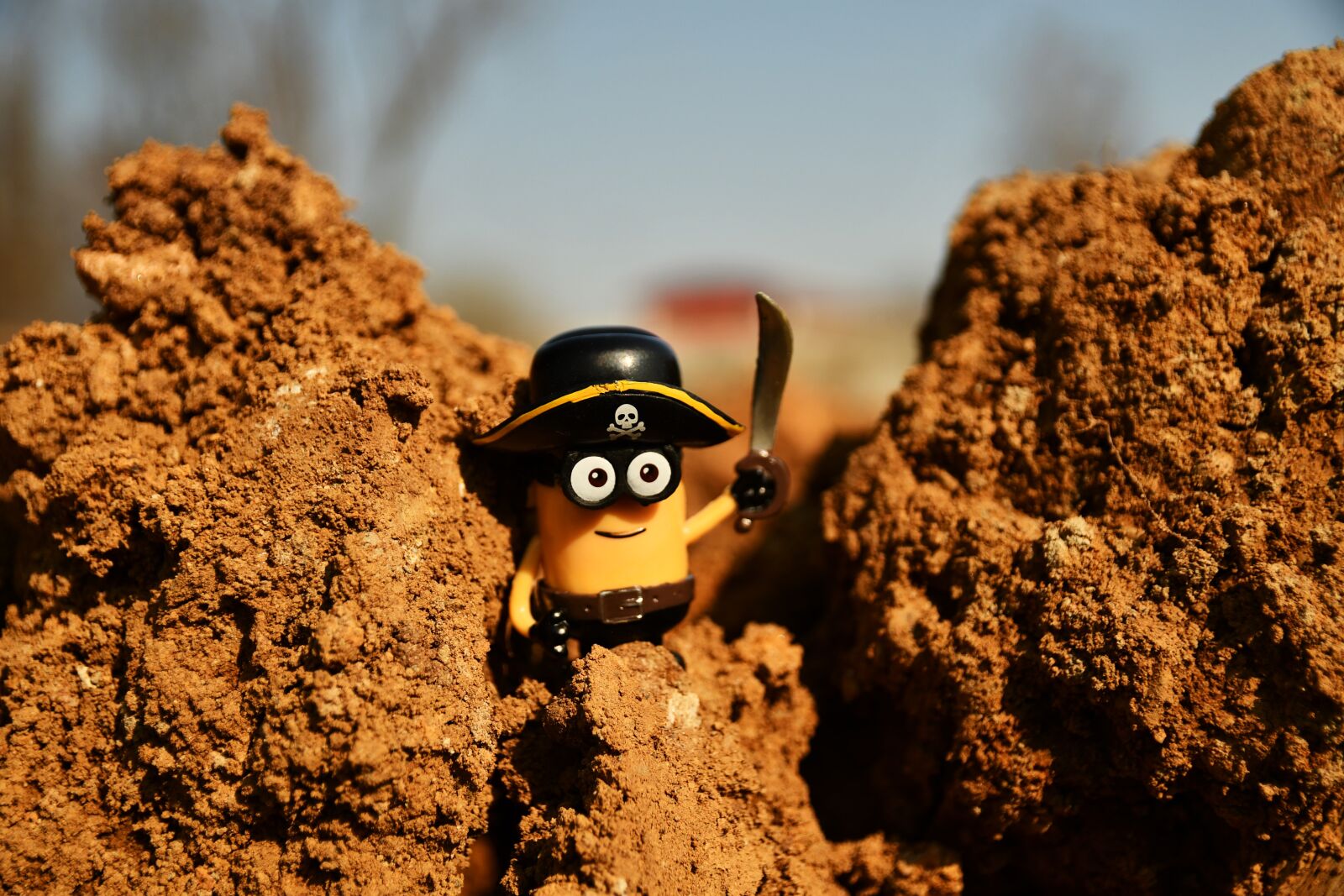 Nikon D7500 sample photo. Minion, funny, toys photography