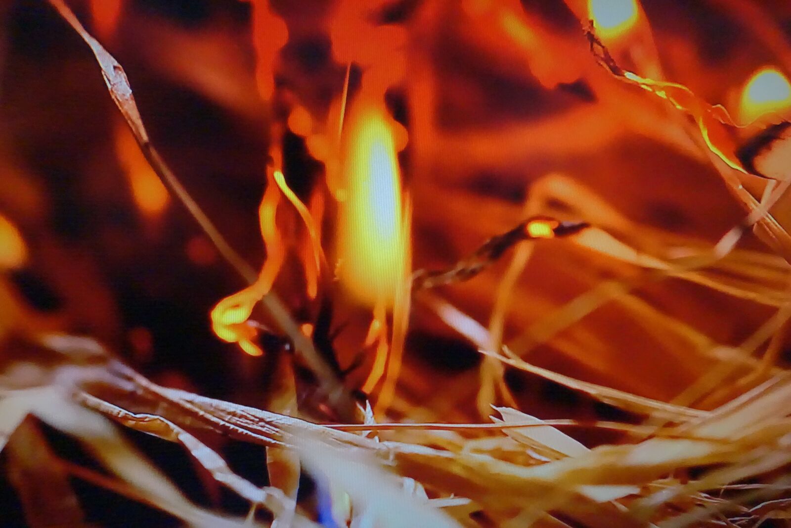 Sony Cyber-shot DSC-RX100 III sample photo. Fire, red, ho photography