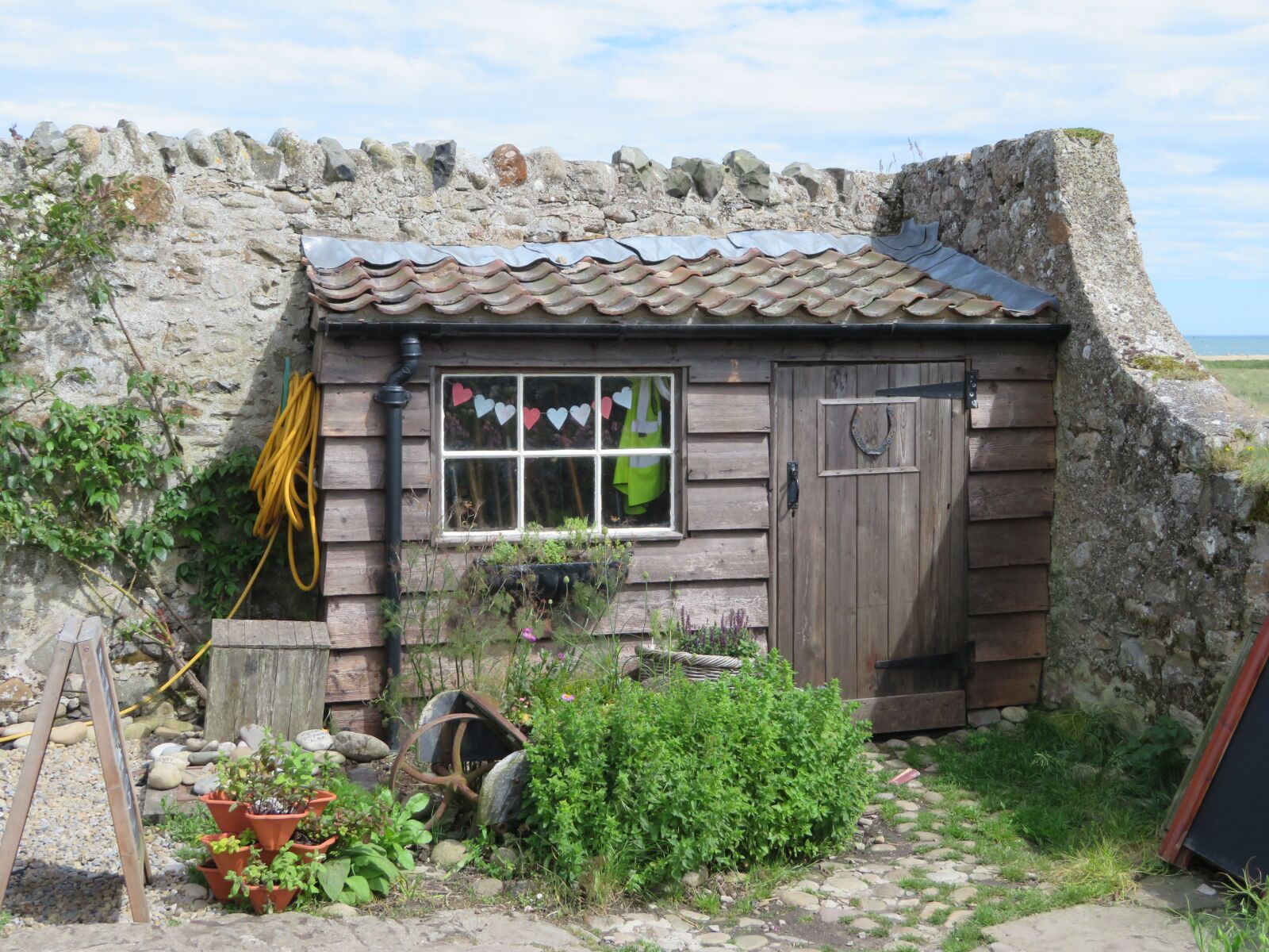Canon PowerShot SX720 HS sample photo. Shed, hut, garden photography