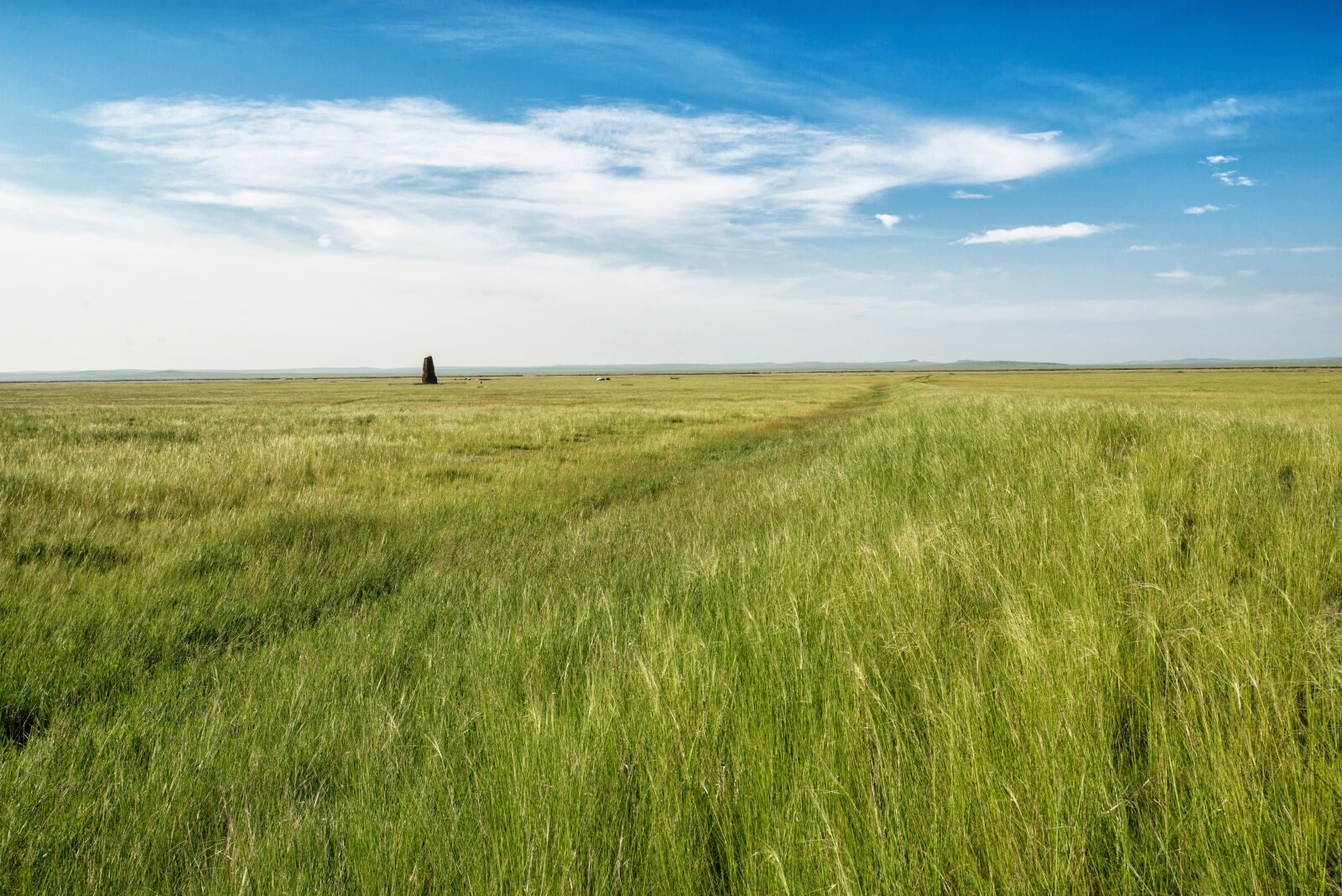 Nikon D800E sample photo. Step, dollars non plains photography