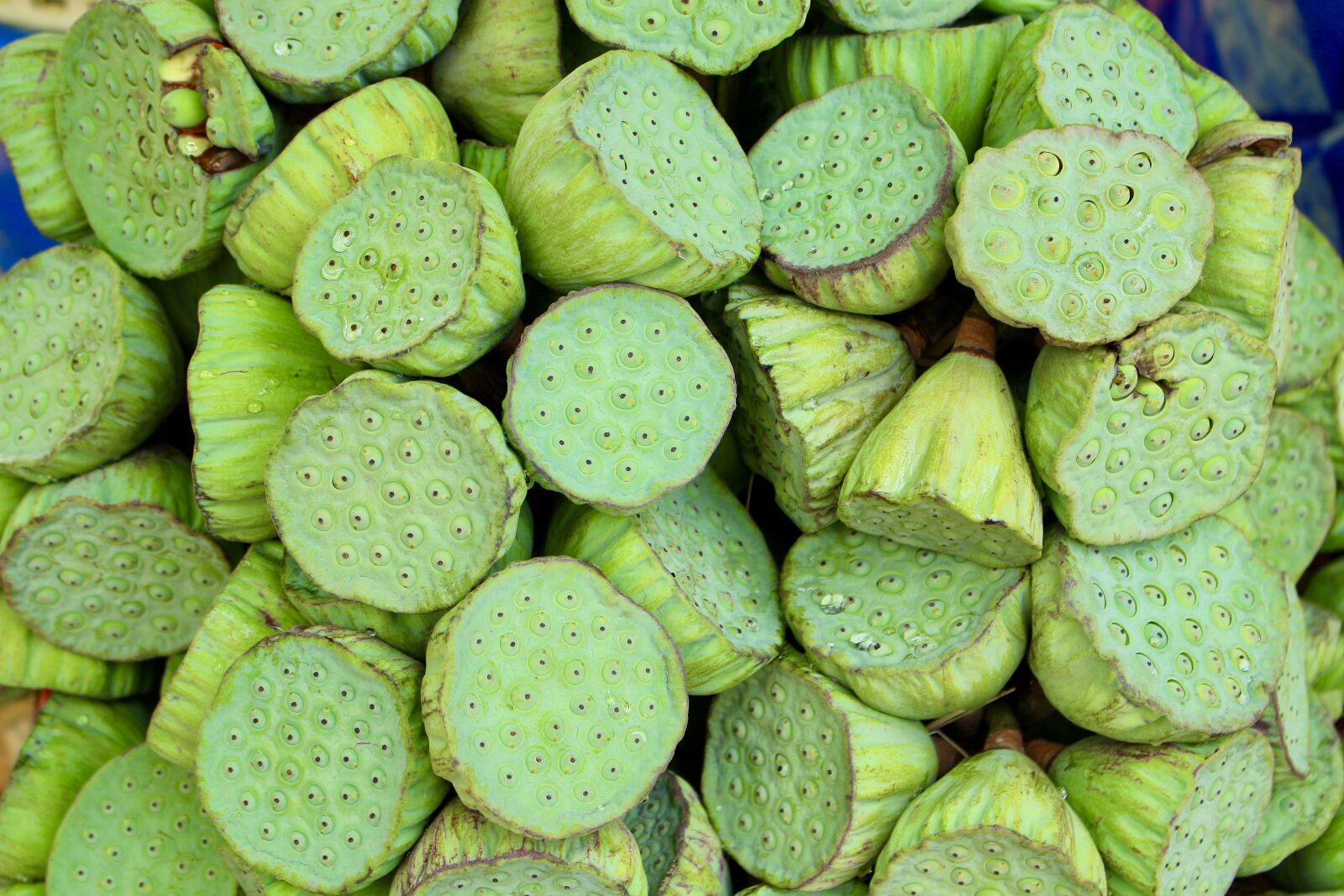 Canon EOS 700D (EOS Rebel T5i / EOS Kiss X7i) sample photo. Lotus, market, thailand photography