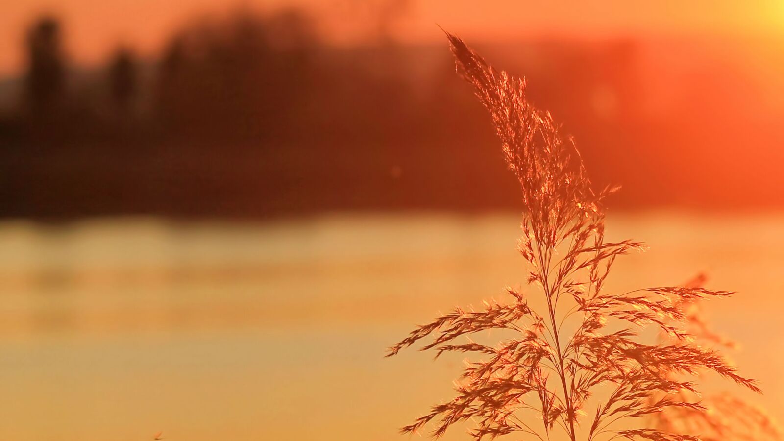 Canon EF-S 55-250mm F4-5.6 IS STM sample photo. Sunset, rush, abendstimmung photography