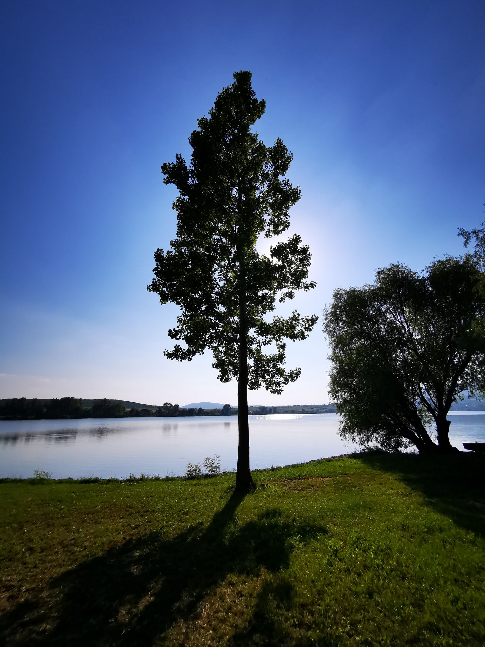 HUAWEI P30 Pro sample photo. Tree, colourful, lake photography