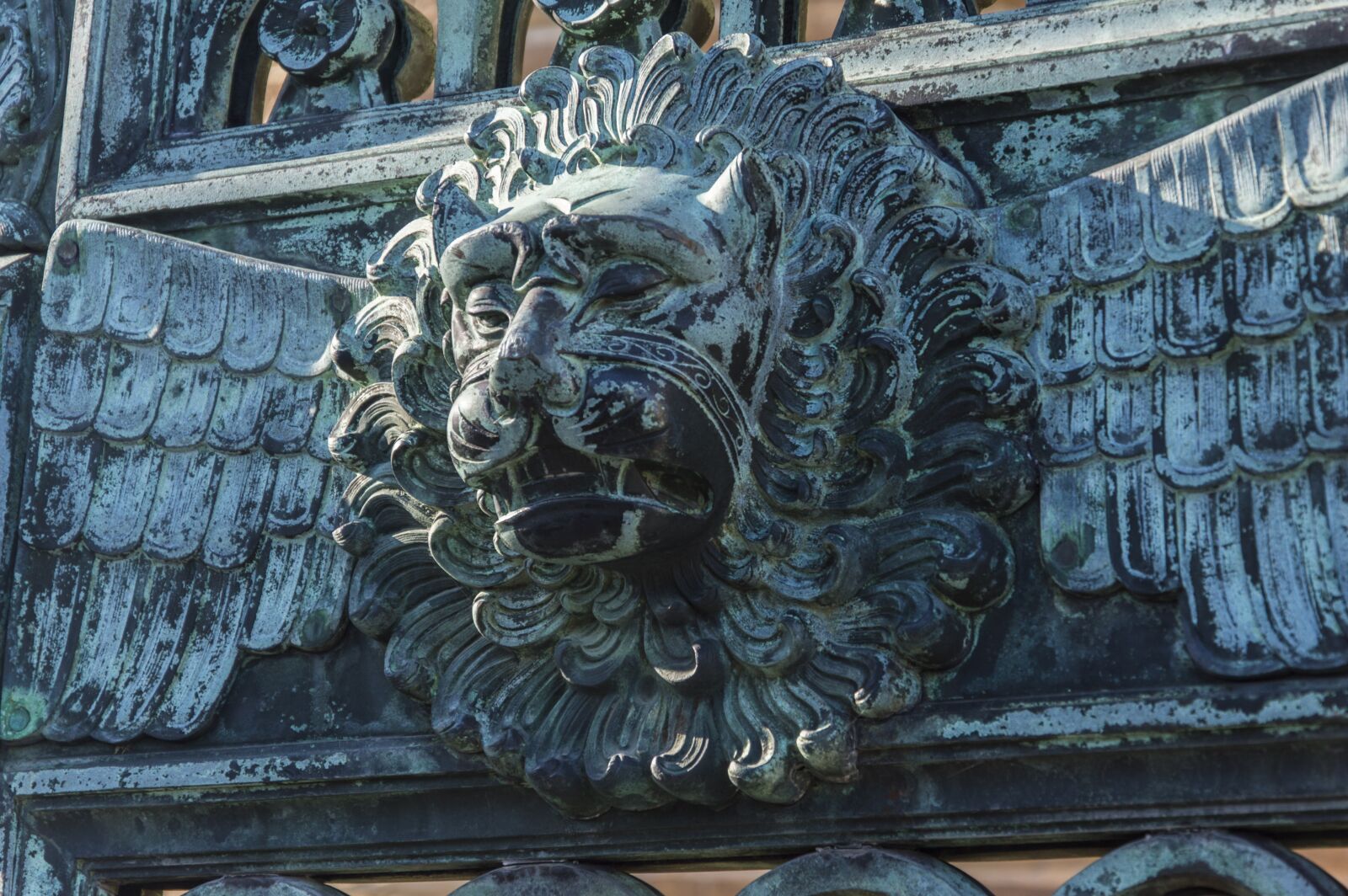 Nikon D3200 sample photo. Lion, goal, gate photography