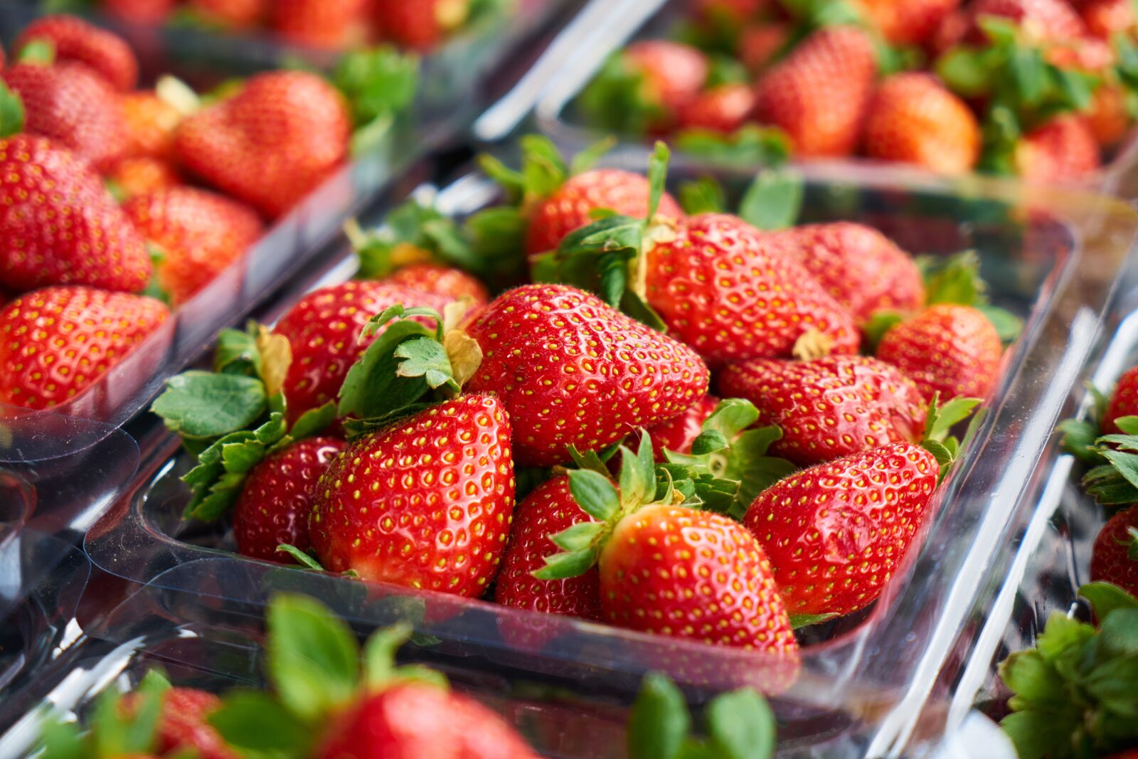 Sony a7R II sample photo. Strawberry, macro, background photography