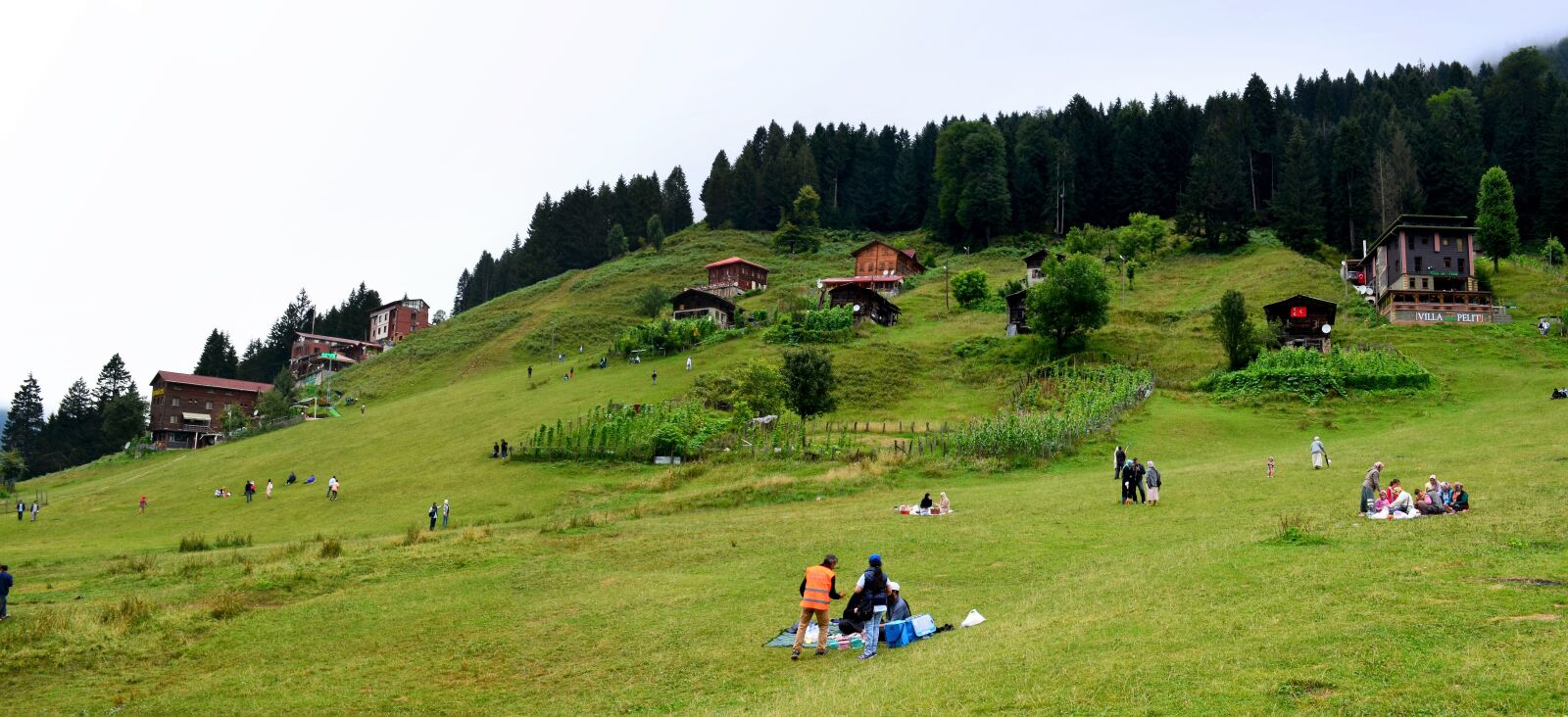 Nikon D5100 sample photo. Eastern black sea, rize photography