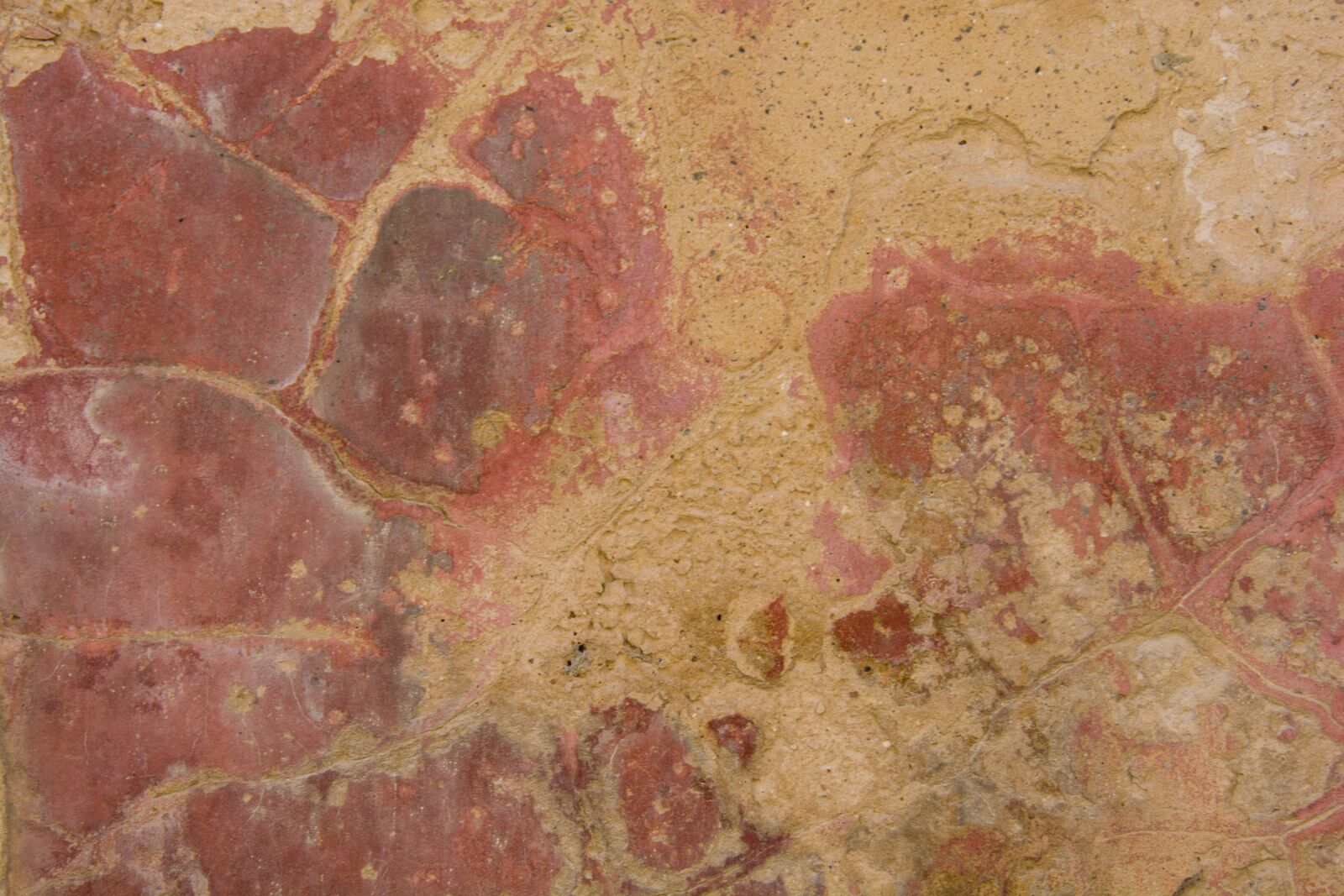 Nikon D7100 sample photo. Texture, background, background texture photography