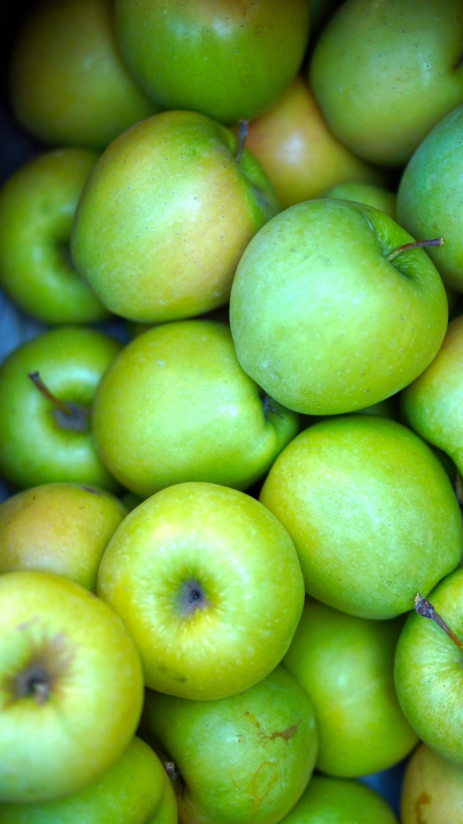 E 50mm F1.8 OSS sample photo. Apple, harvest, fruit photography