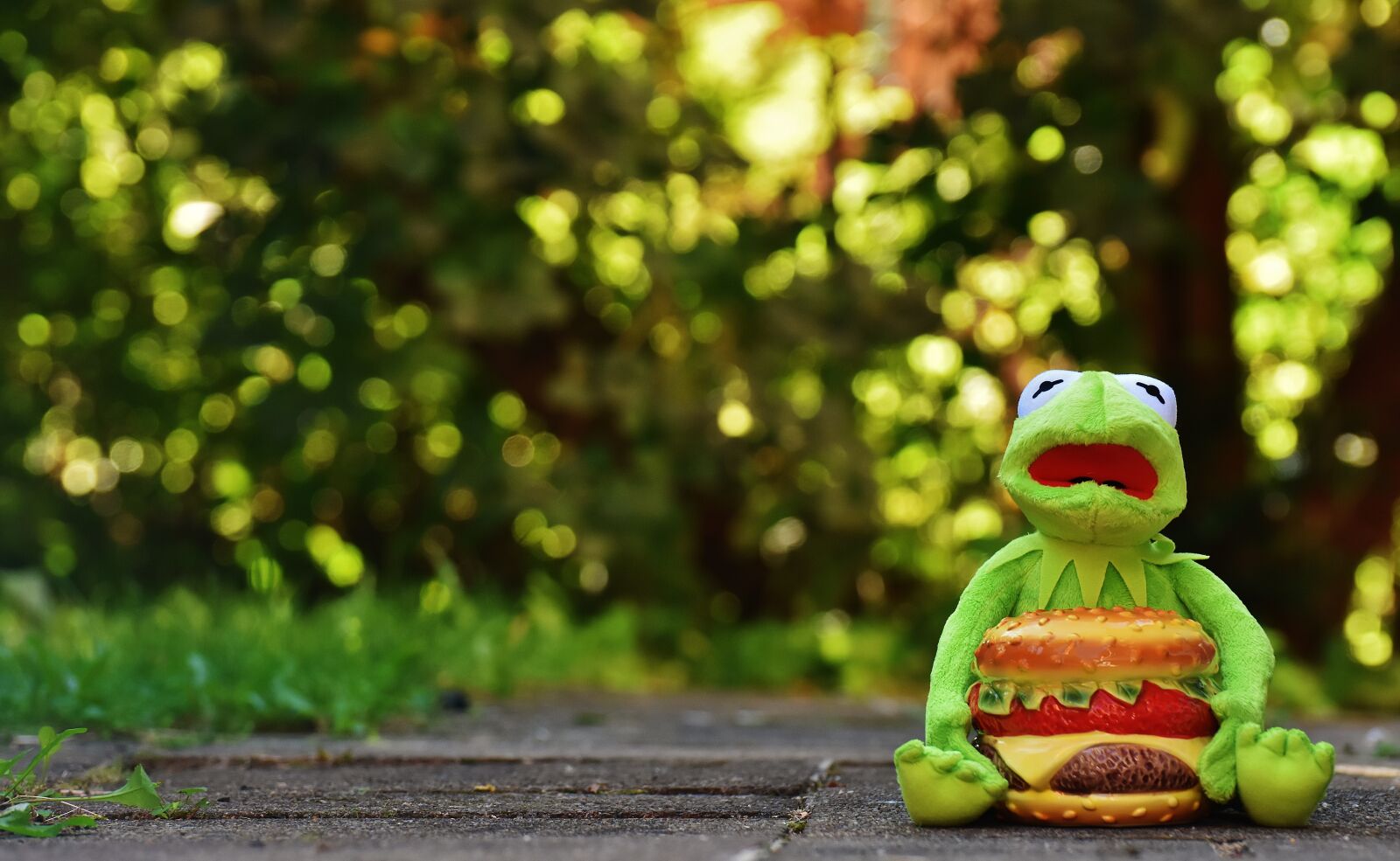 Nikon D7200 sample photo. Kermit, frog, cheeseburger photography