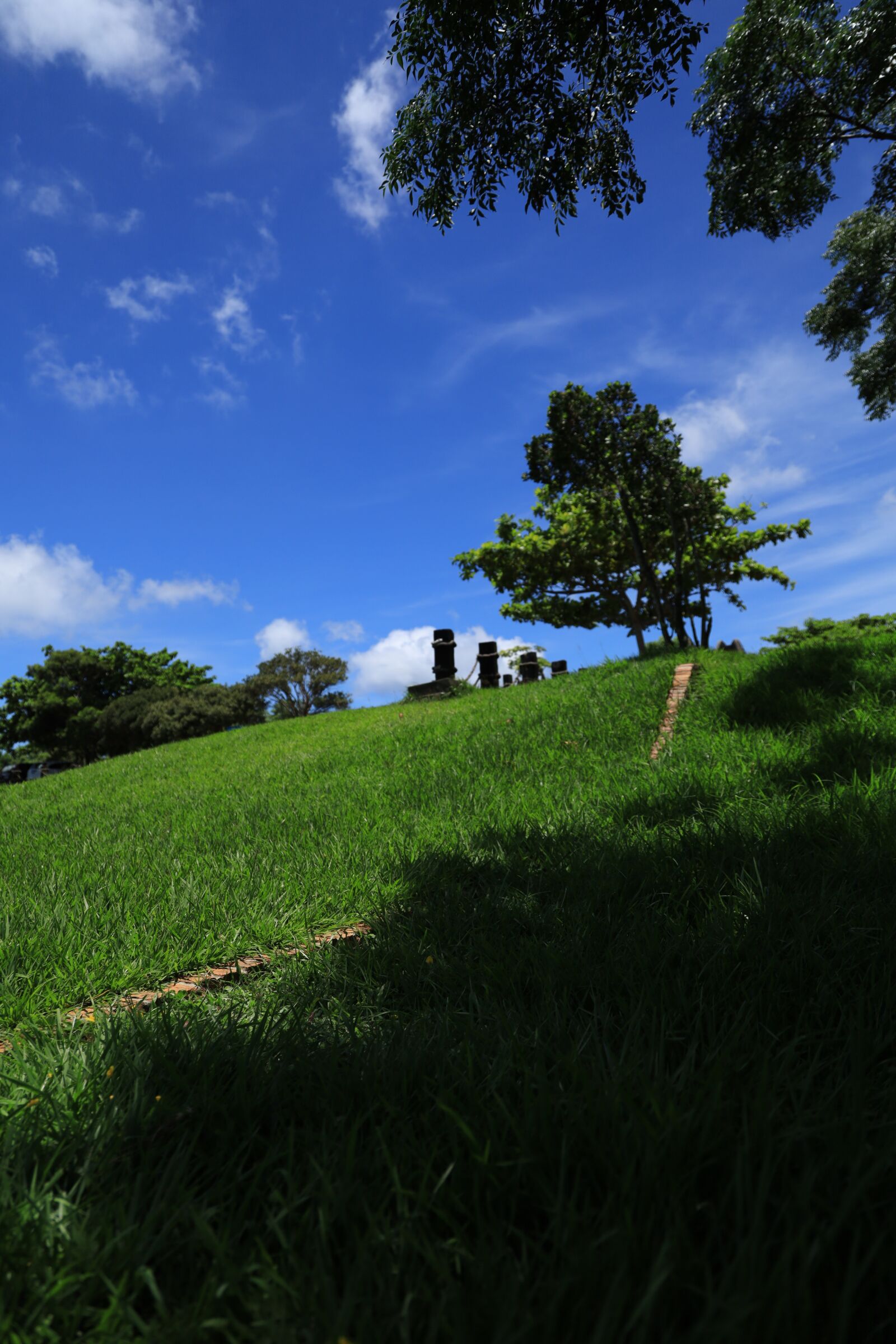 Canon EOS RP + Canon RF 24-105mm F4L IS USM sample photo. Blue, sky, grass photography