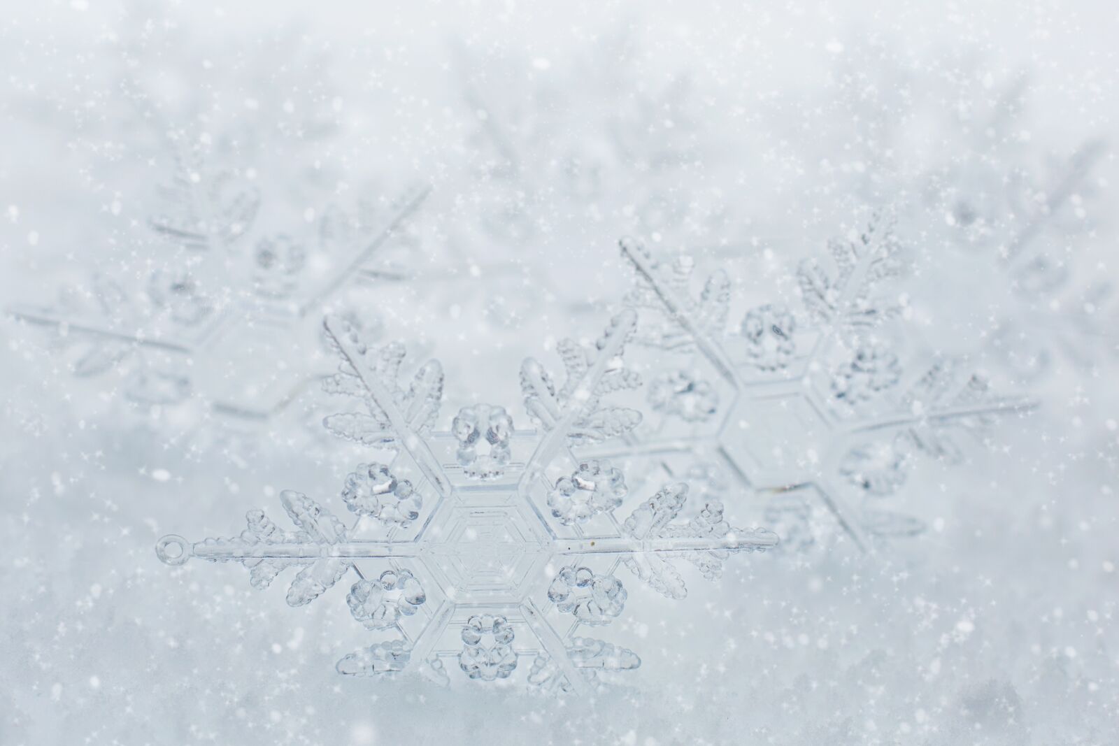Canon EF 50mm F1.4 USM sample photo. Snowflakes, border, white space photography