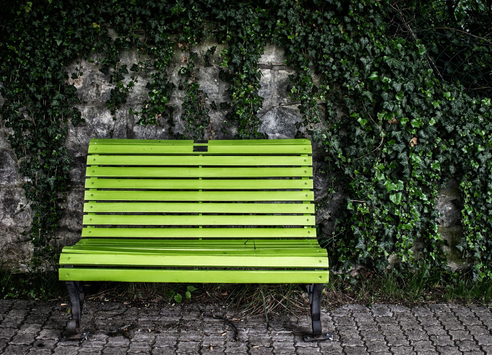 Nikon D3300 sample photo. Bank, green, break photography