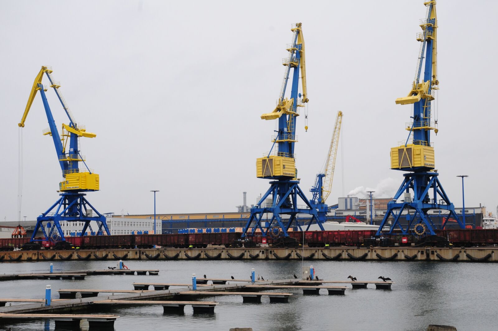 Nikon D300S sample photo. Crane, port, cranes photography