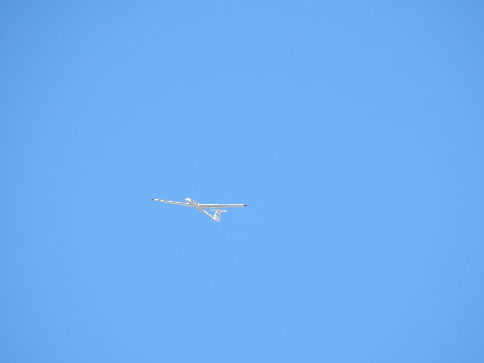 Nikon Coolpix L820 sample photo. Glider, sky, flying photography