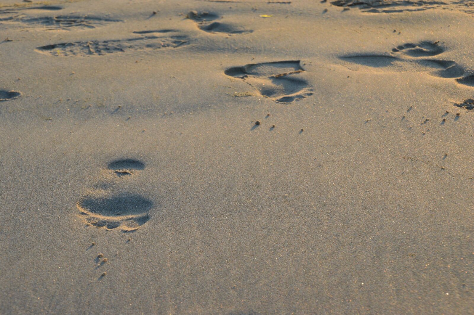 Nikon D3200 sample photo. Sea, beach, stella beach photography