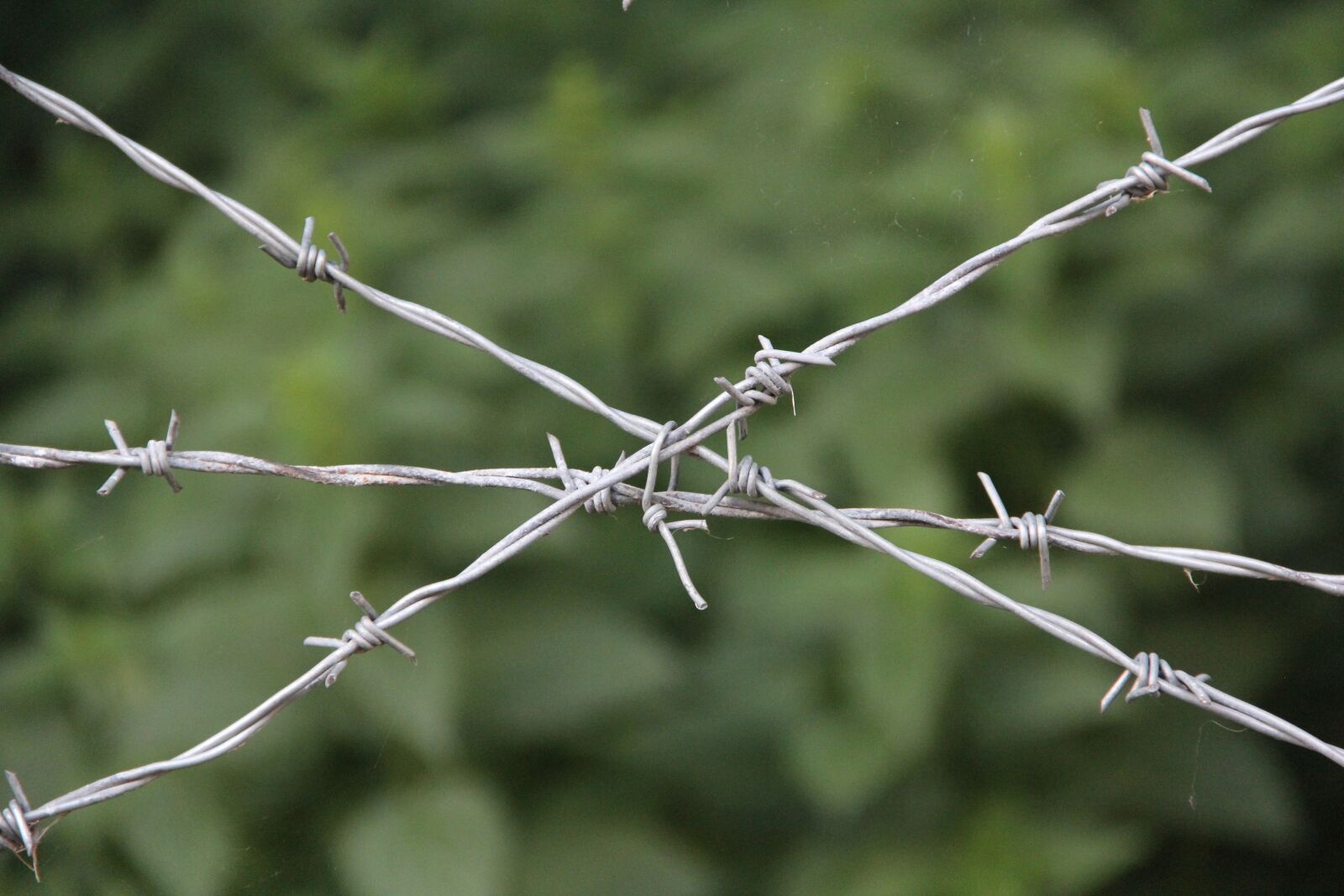 Canon EF-S 18-135mm F3.5-5.6 IS sample photo. Bondage, history, prison photography