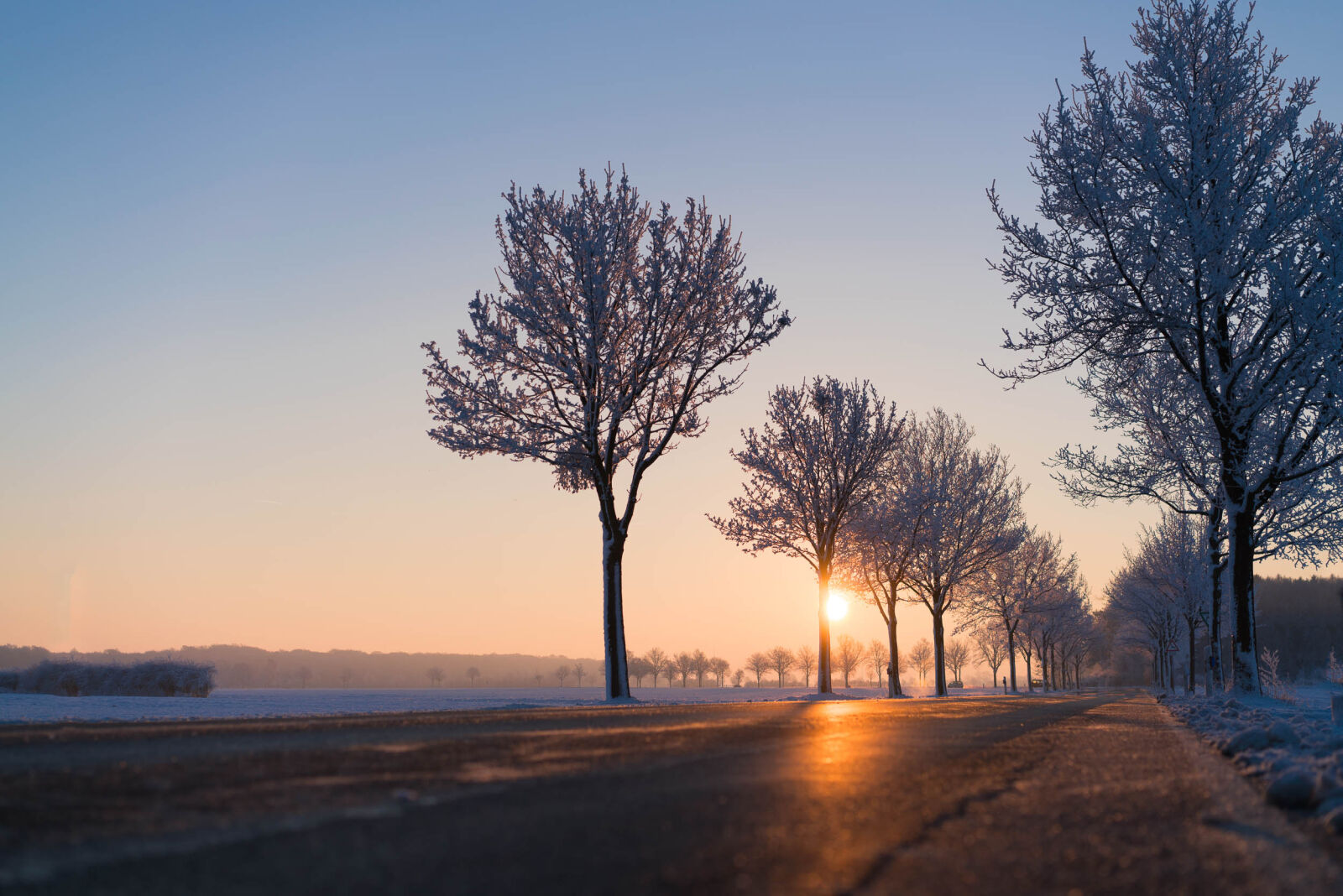 Sony a7R II + Sony Sonnar T* FE 55mm F1.8 ZA sample photo. Low, angle, view, photo photography