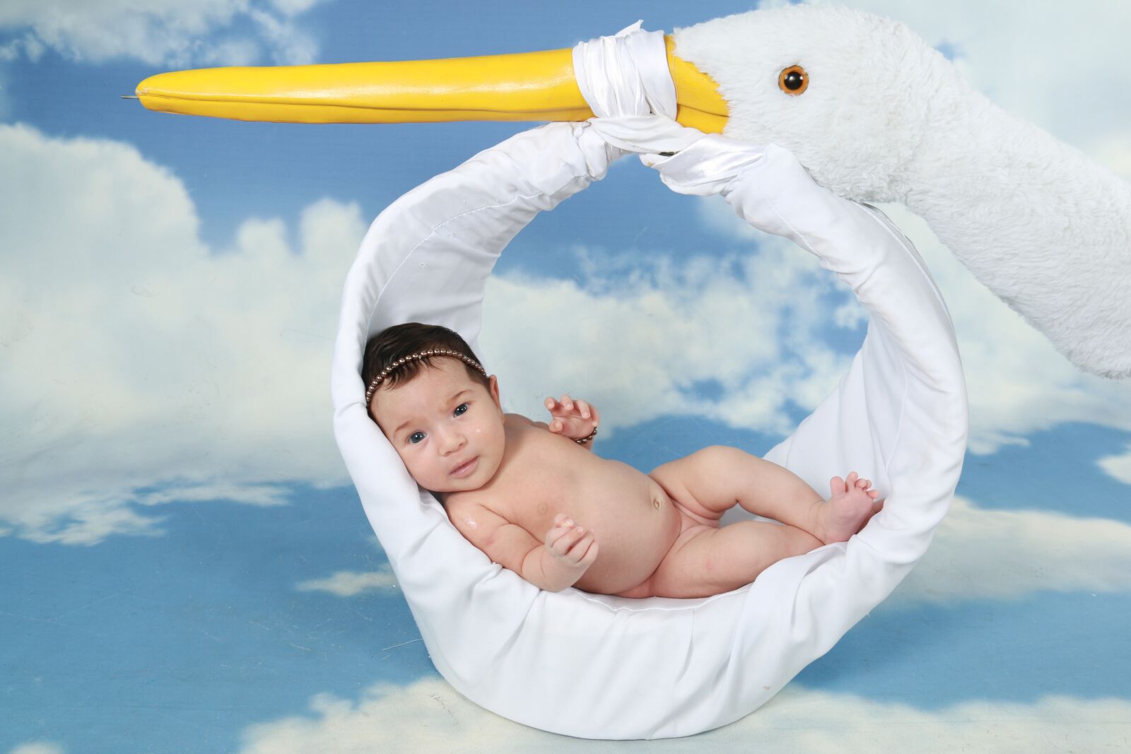 Canon EF-S 18-135mm F3.5-5.6 IS sample photo. Stork, girl, linda photography