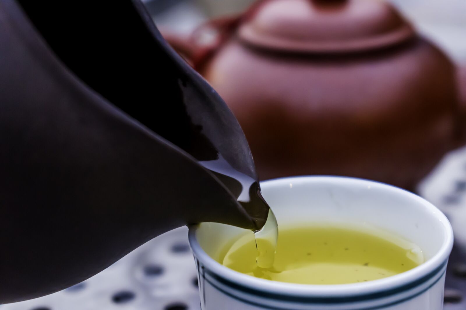 Nikon D5500 sample photo. Drink, cup, hot photography