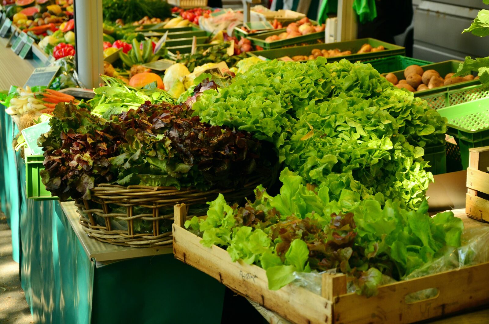Nikon D5100 sample photo. Salad, market, market stall photography