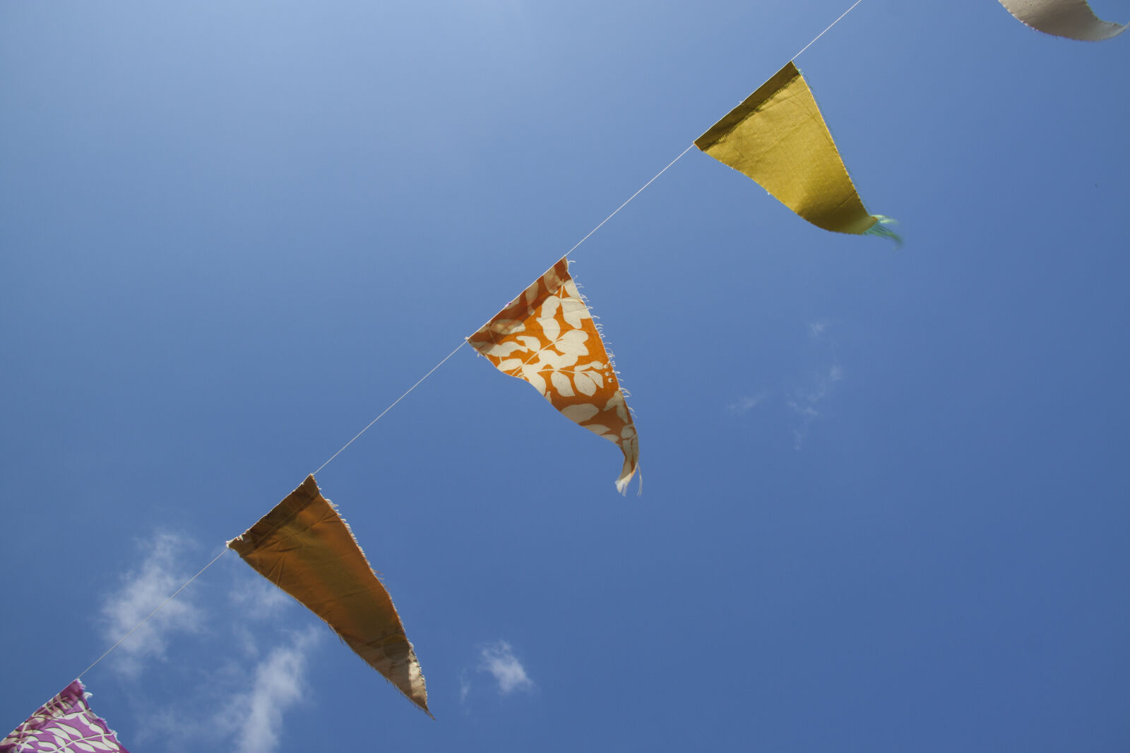 Canon EOS 500D (EOS Rebel T1i / EOS Kiss X3) sample photo. Sky, flags, celebrate photography