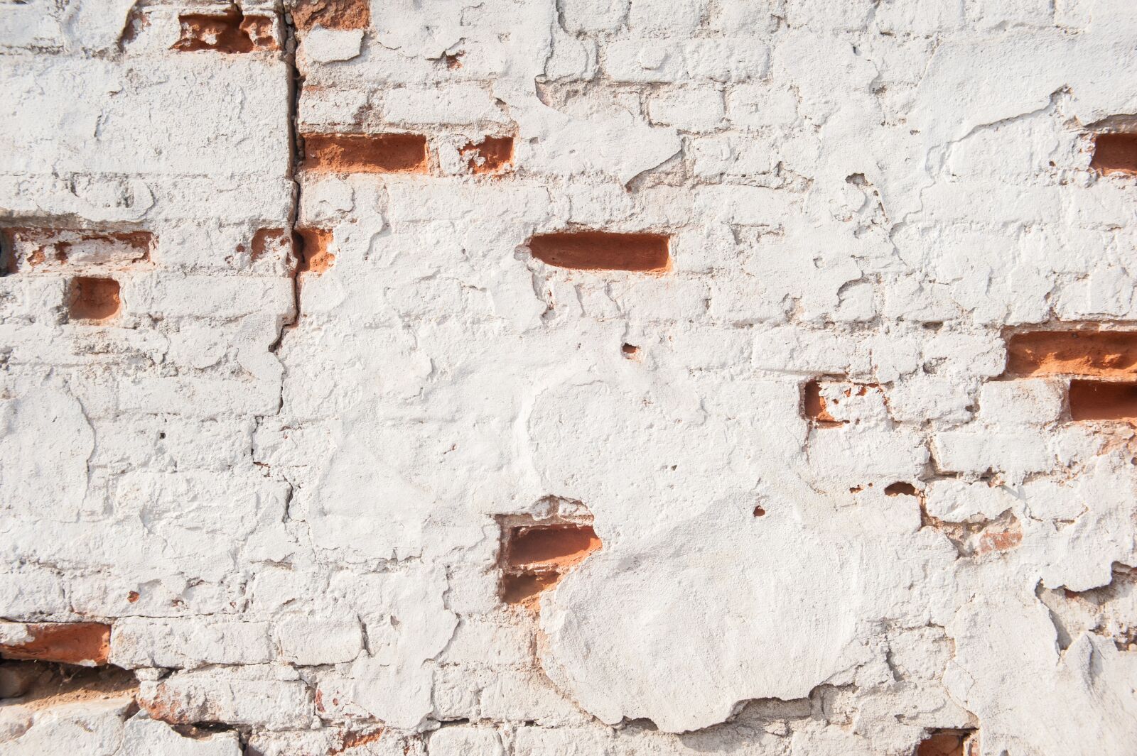 Nikon D700 sample photo. White wall, red brick photography