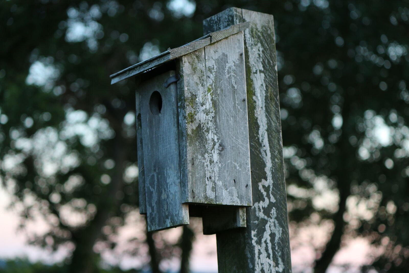 Canon EOS 70D sample photo. Birdhouse, vintage, nature photography