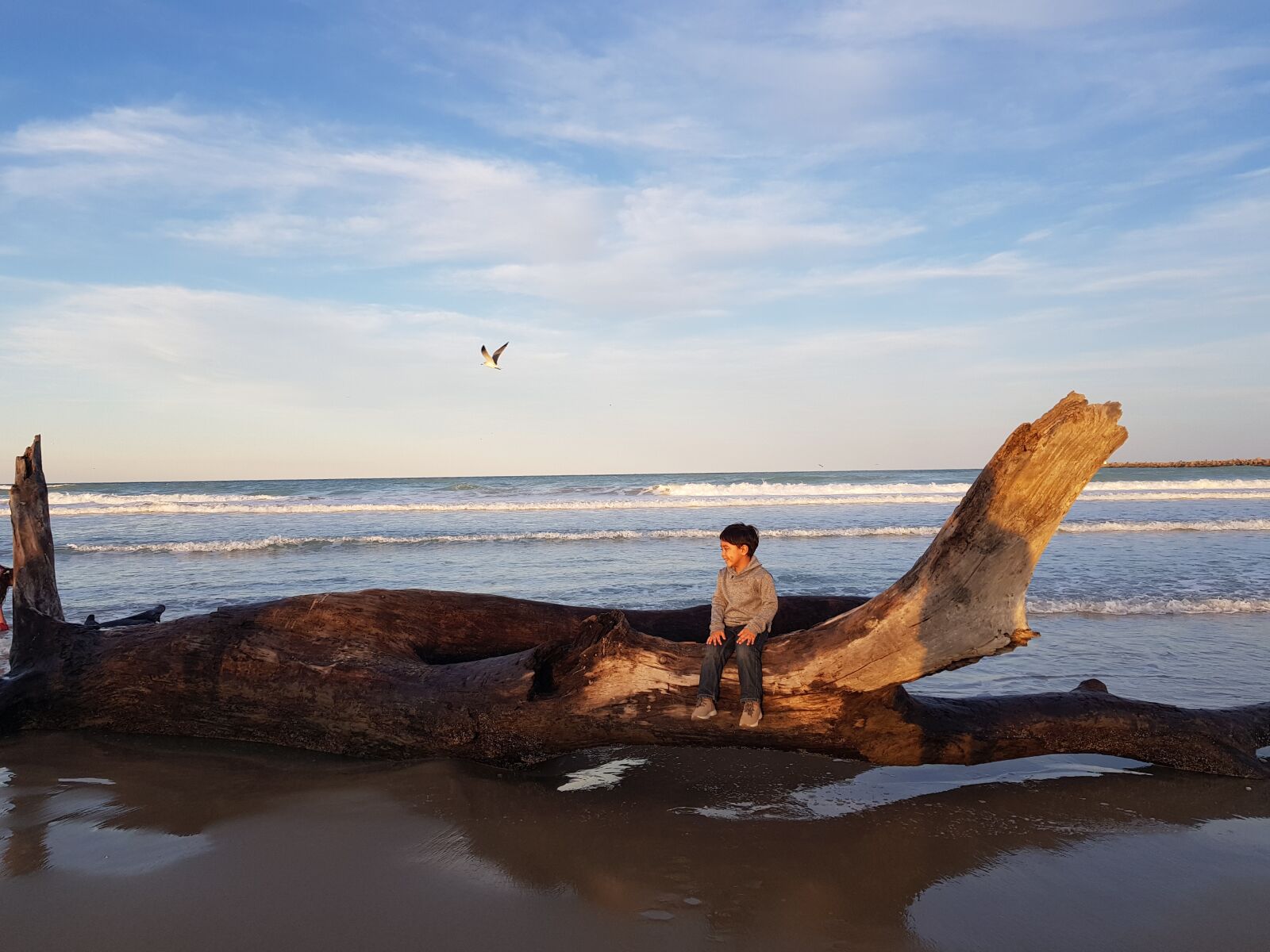 Samsung Galaxy S8 sample photo. Beach, sea, autumn photography