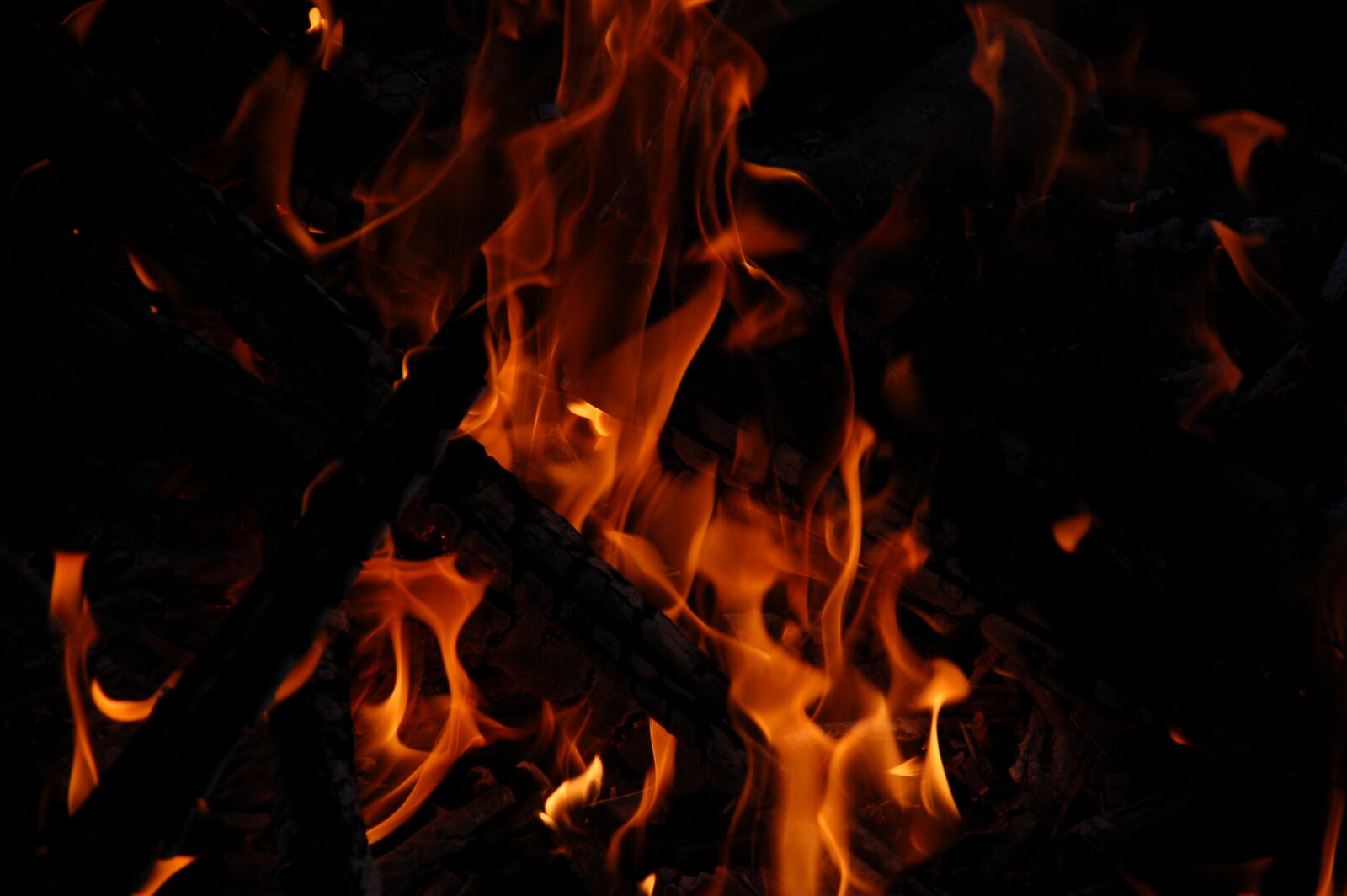 Nikon D50 sample photo. Campfire, fire, flames photography