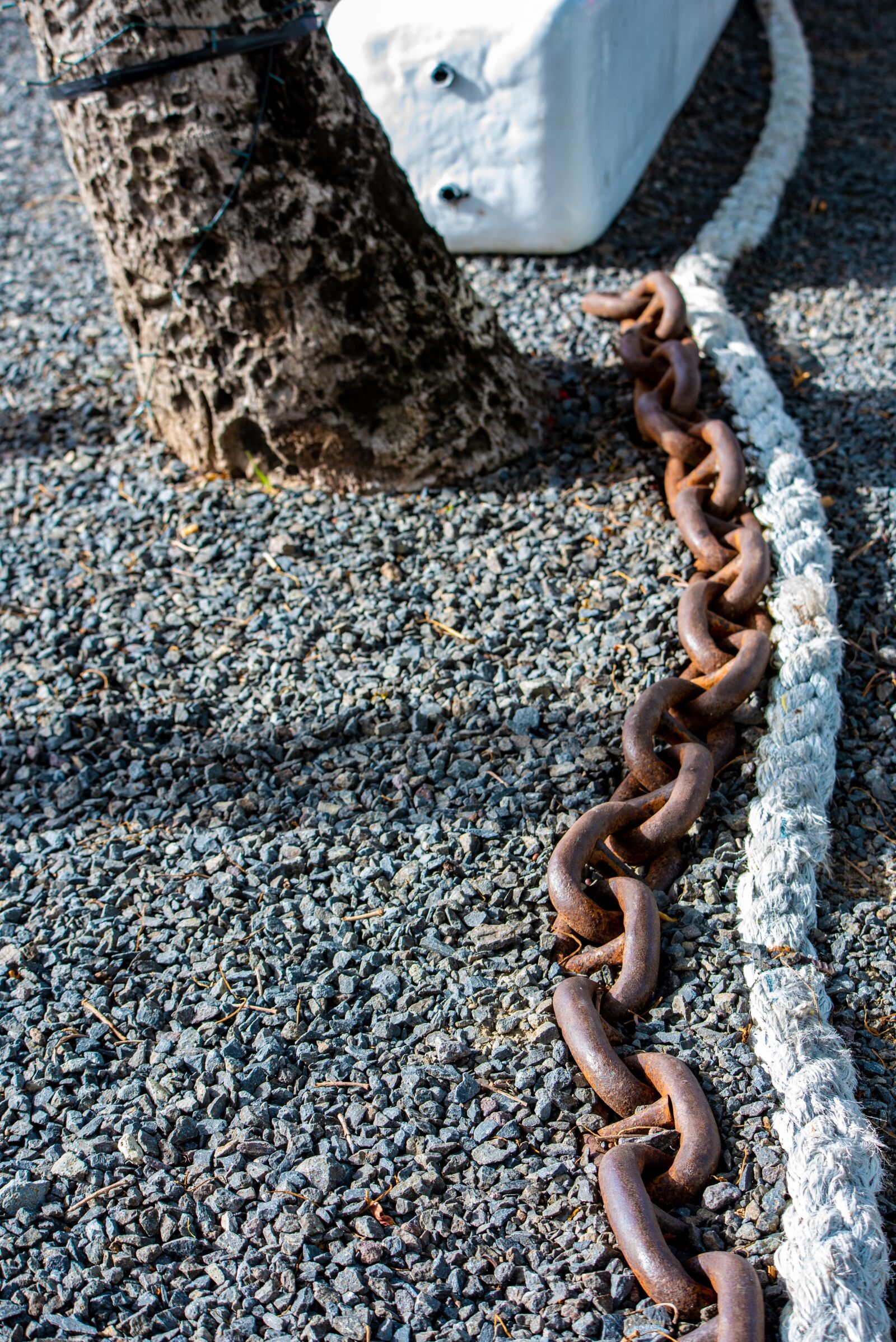 Nikon D750 sample photo. Chain, link, big chain photography