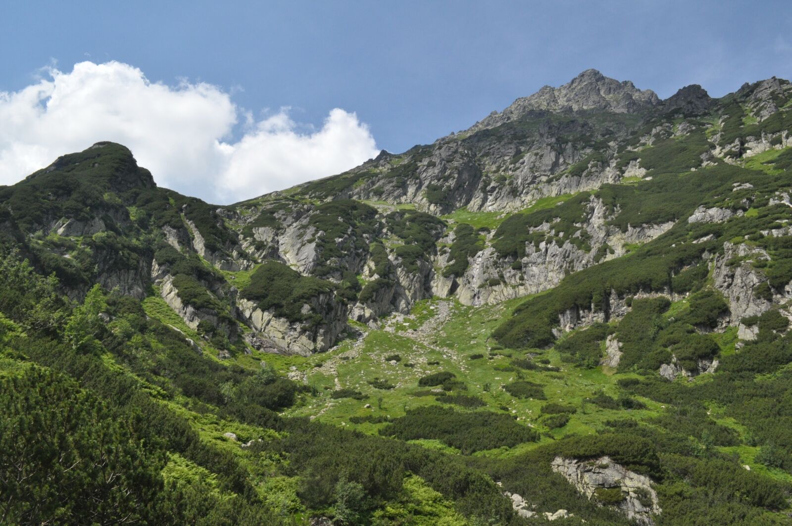 Nikon D5000 sample photo. Tatry, polska, mountain photography