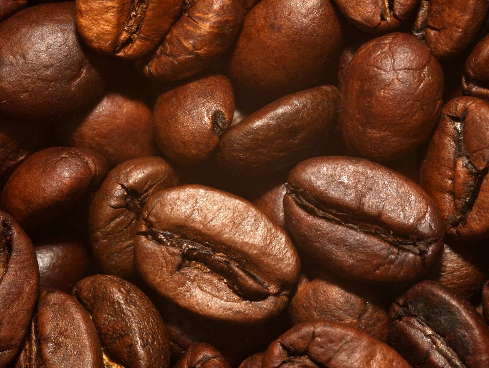 Olympus E-510 (EVOLT E-510) sample photo. Coffee beans, roasted, brown photography