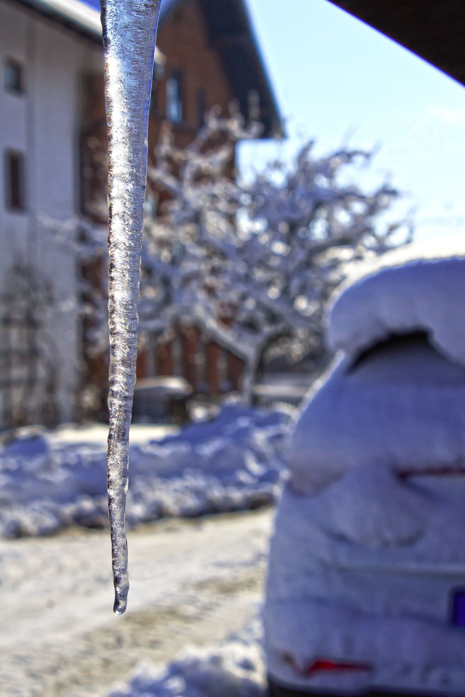 Canon EOS 1300D (EOS Rebel T6 / EOS Kiss X80) sample photo. Icicle, roof, house photography