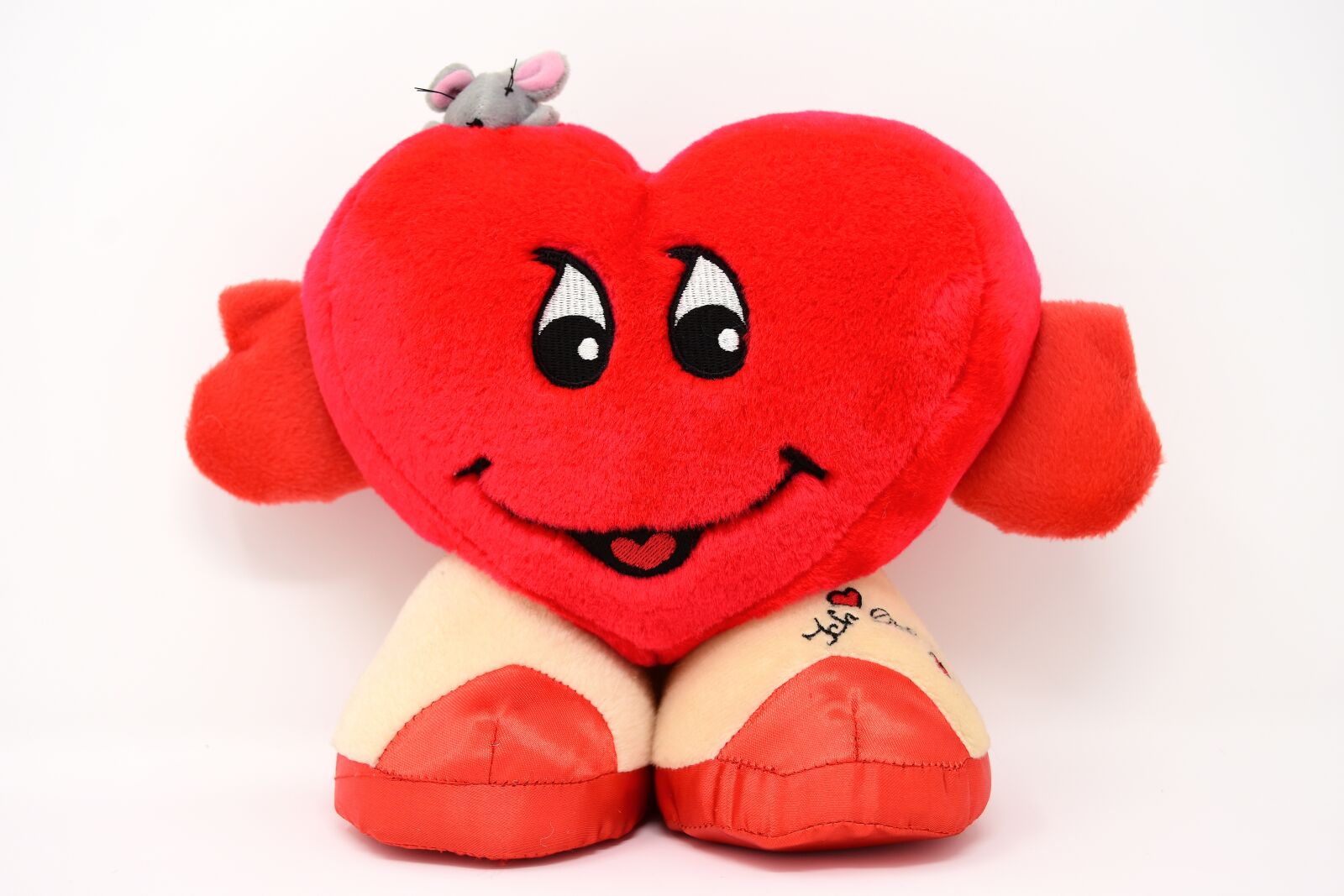 Nikon D7200 sample photo. Love, heart, funny photography