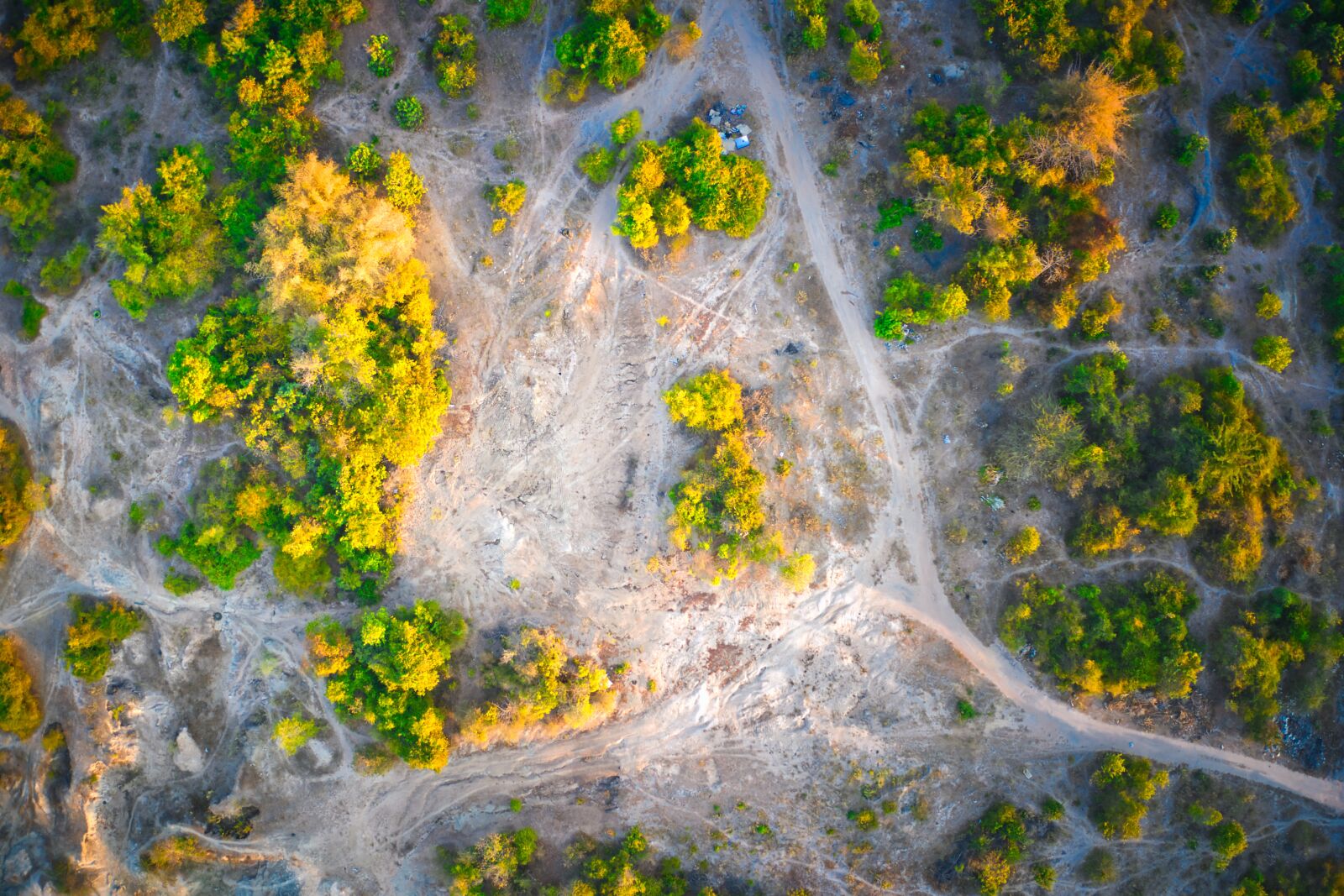Hasselblad L1D-20c sample photo. Wood, bird's eye view photography
