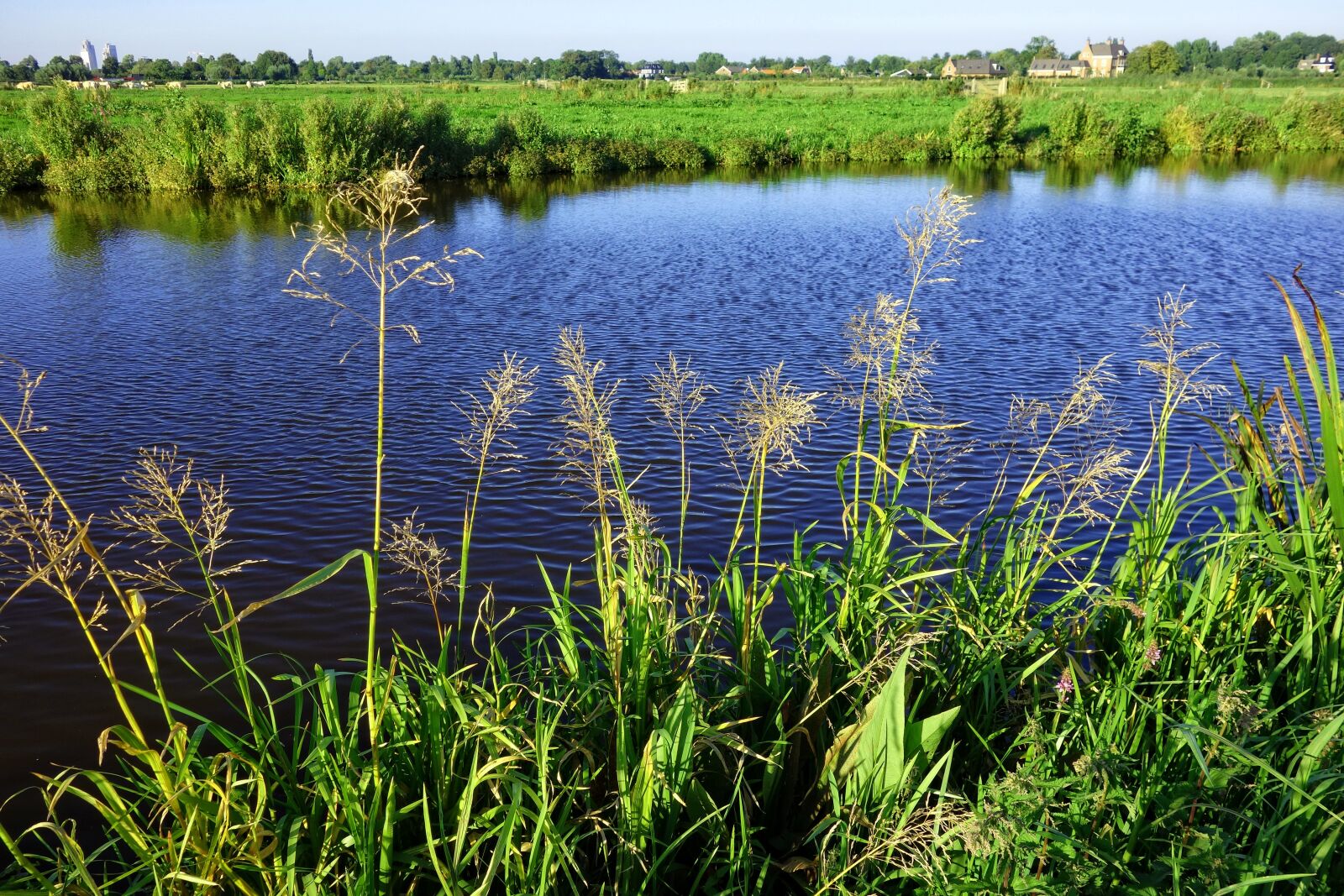 Sony Cyber-shot DSC-RX100 sample photo. Water, waterway, shore photography